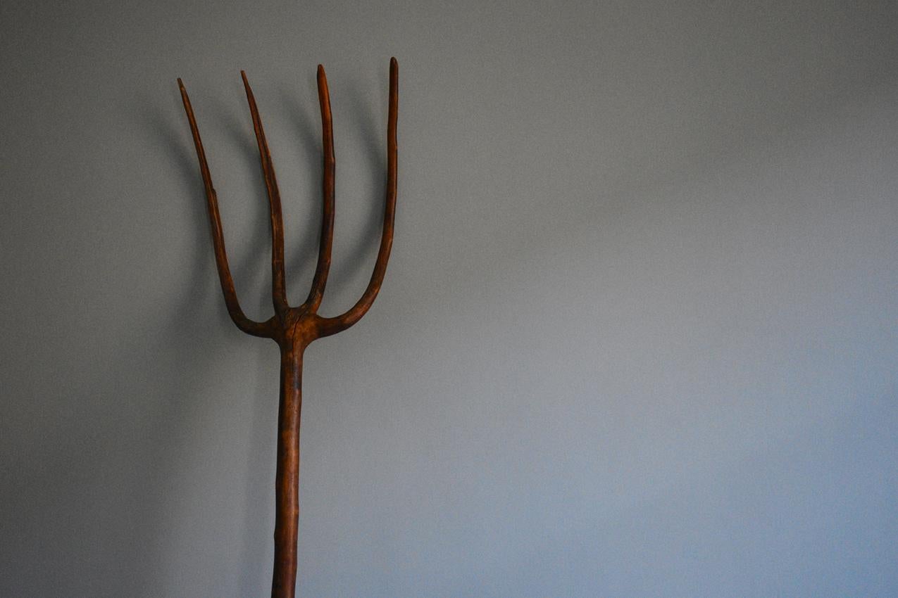 willow pitchfork