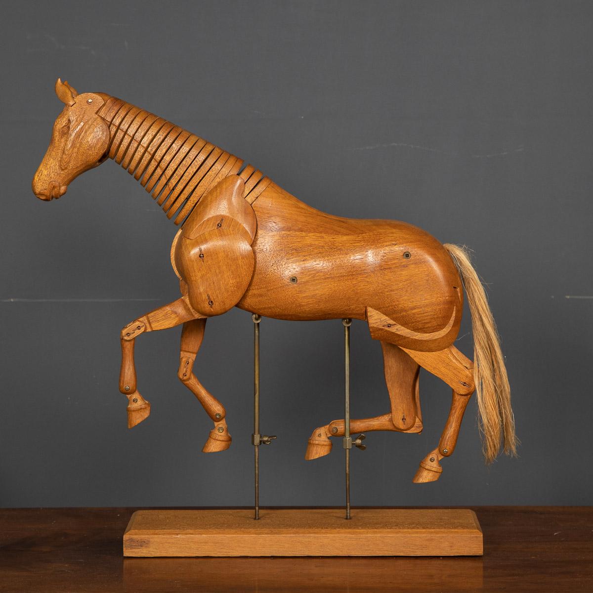 Elegant 20th century artists lay figure of a horse carved in walnut. This articulated artist model is suspended on two adjustable brass posts for easy positioning. Articulated figures found among the stocks of art supply merchants, date back several