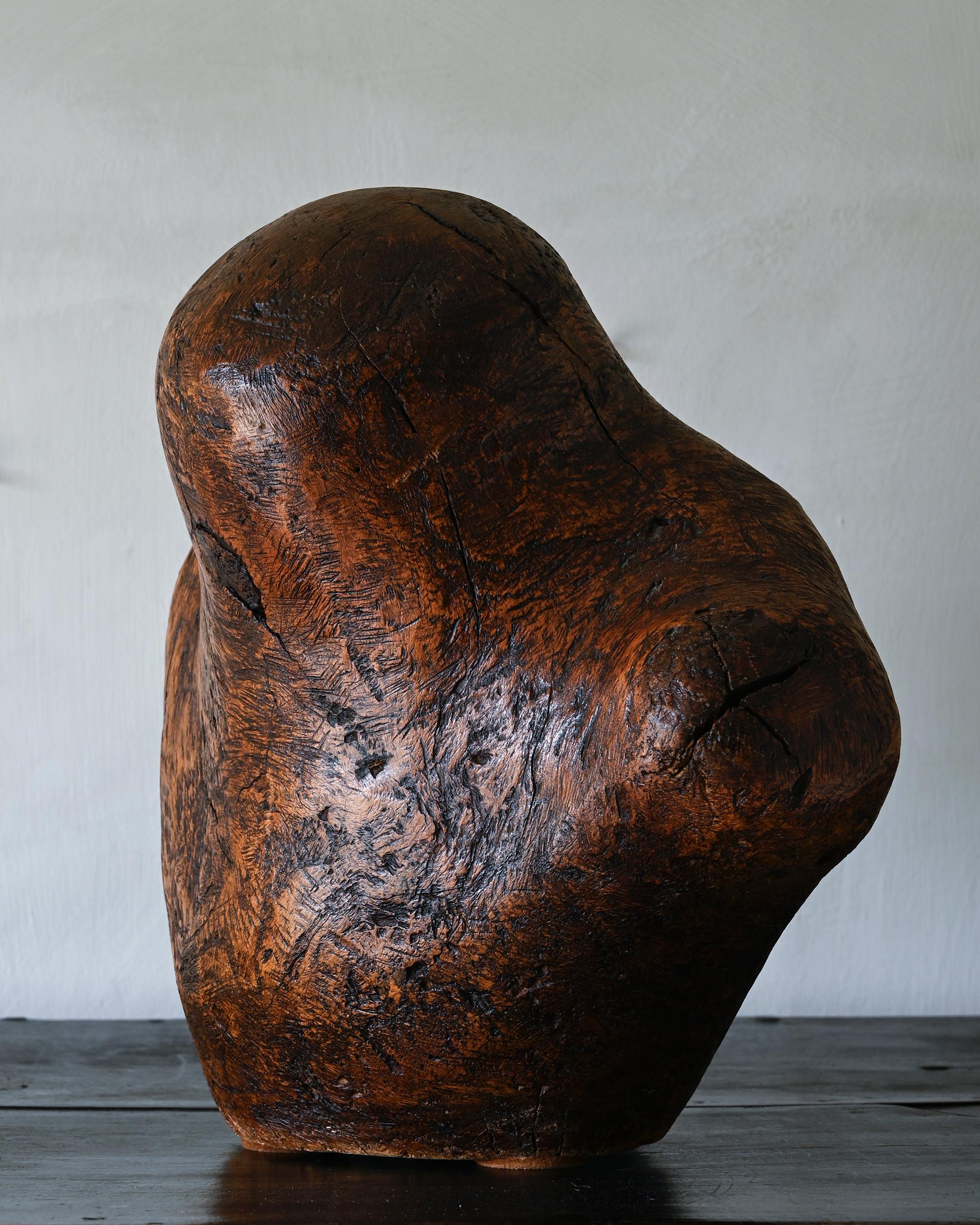 Hand-Crafted 20th Century Wooden Organic Bust For Sale
