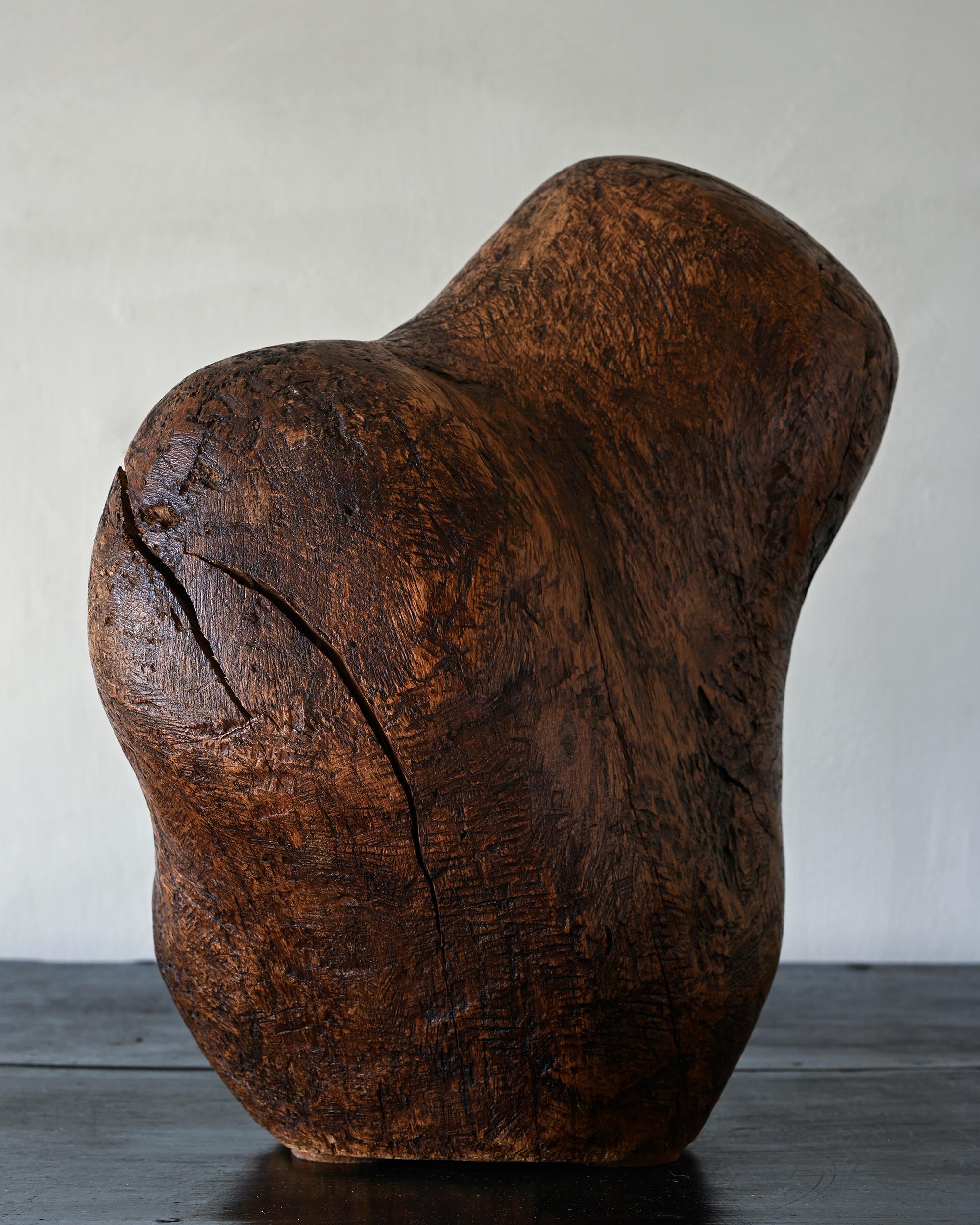 20th Century Wooden Organic Bust For Sale 1