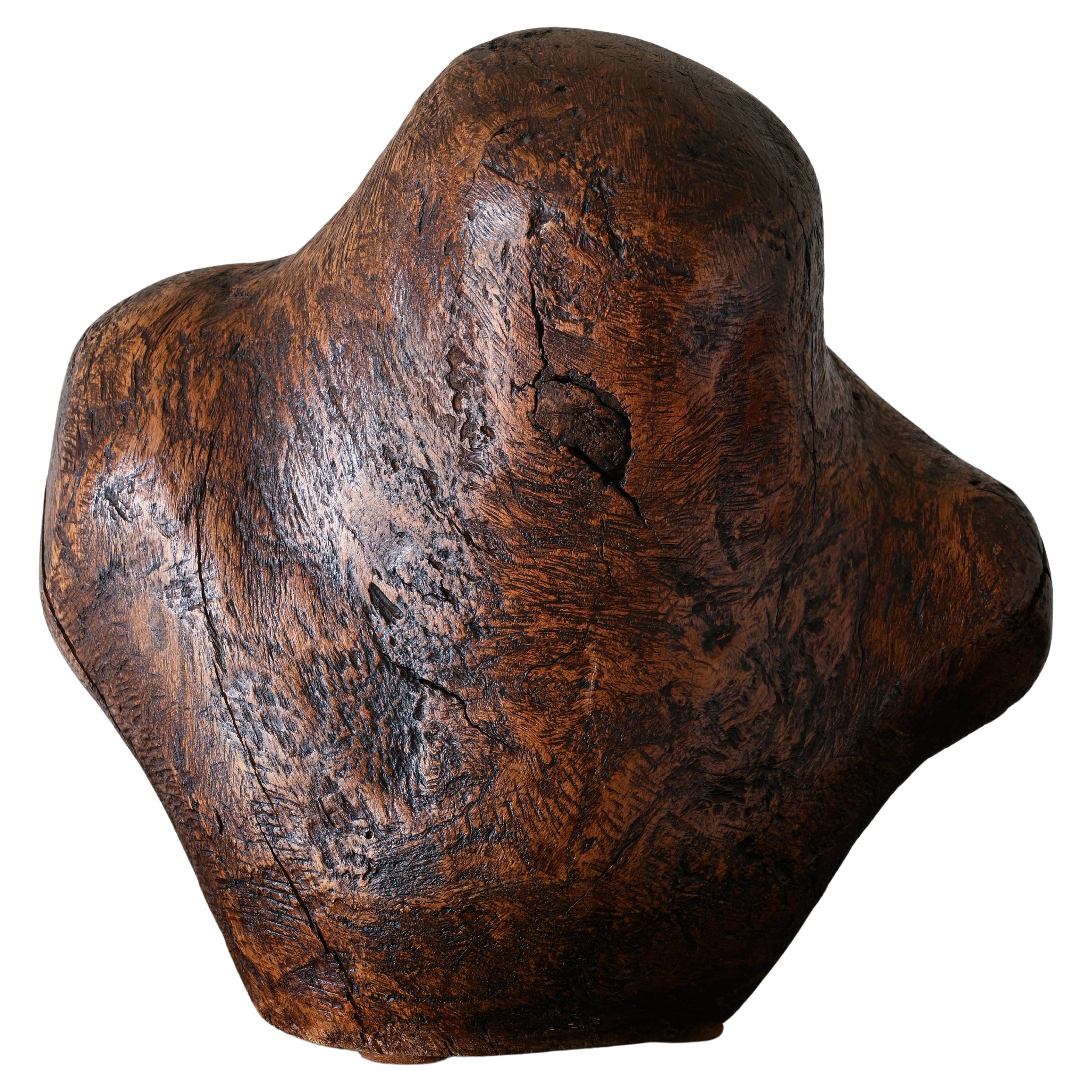 Buste organique en bois du 20e siècle
