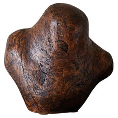 20th Century Wooden Organic Bust