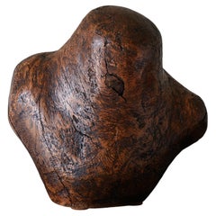 Busto organico in legno del XX secolo