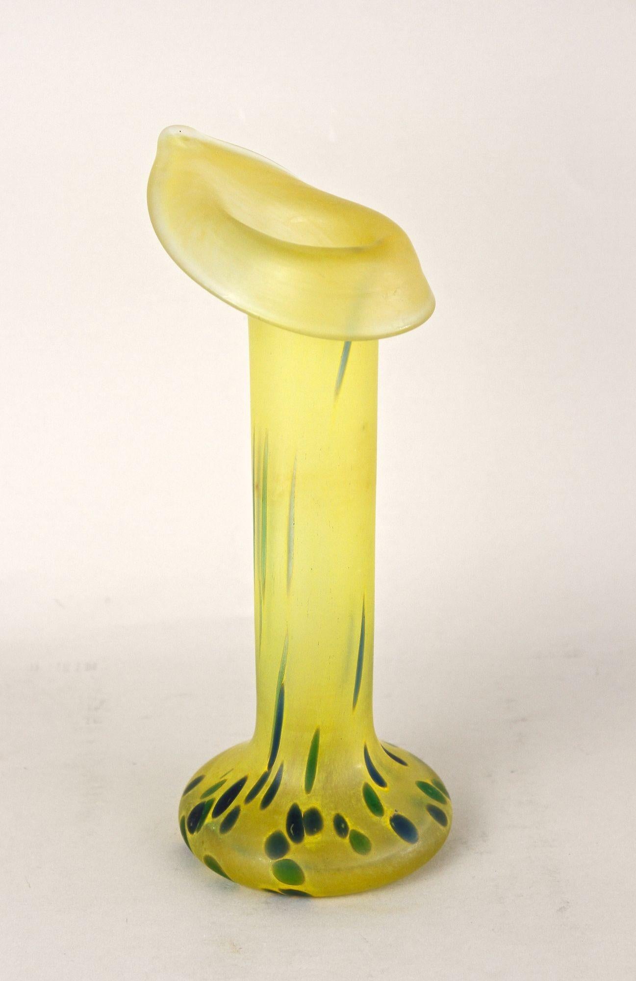 Vaso Art Nouveau giallo del XX secolo, vetro boemo, CZ 1910 ca. in vendita 5