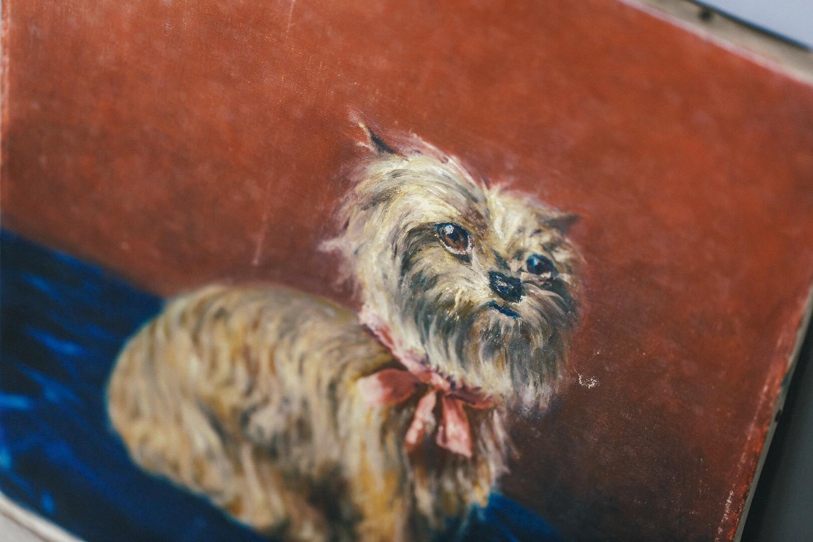 French 20th Century Yorkshire Terrier Portrait Oil Painting on Canvas