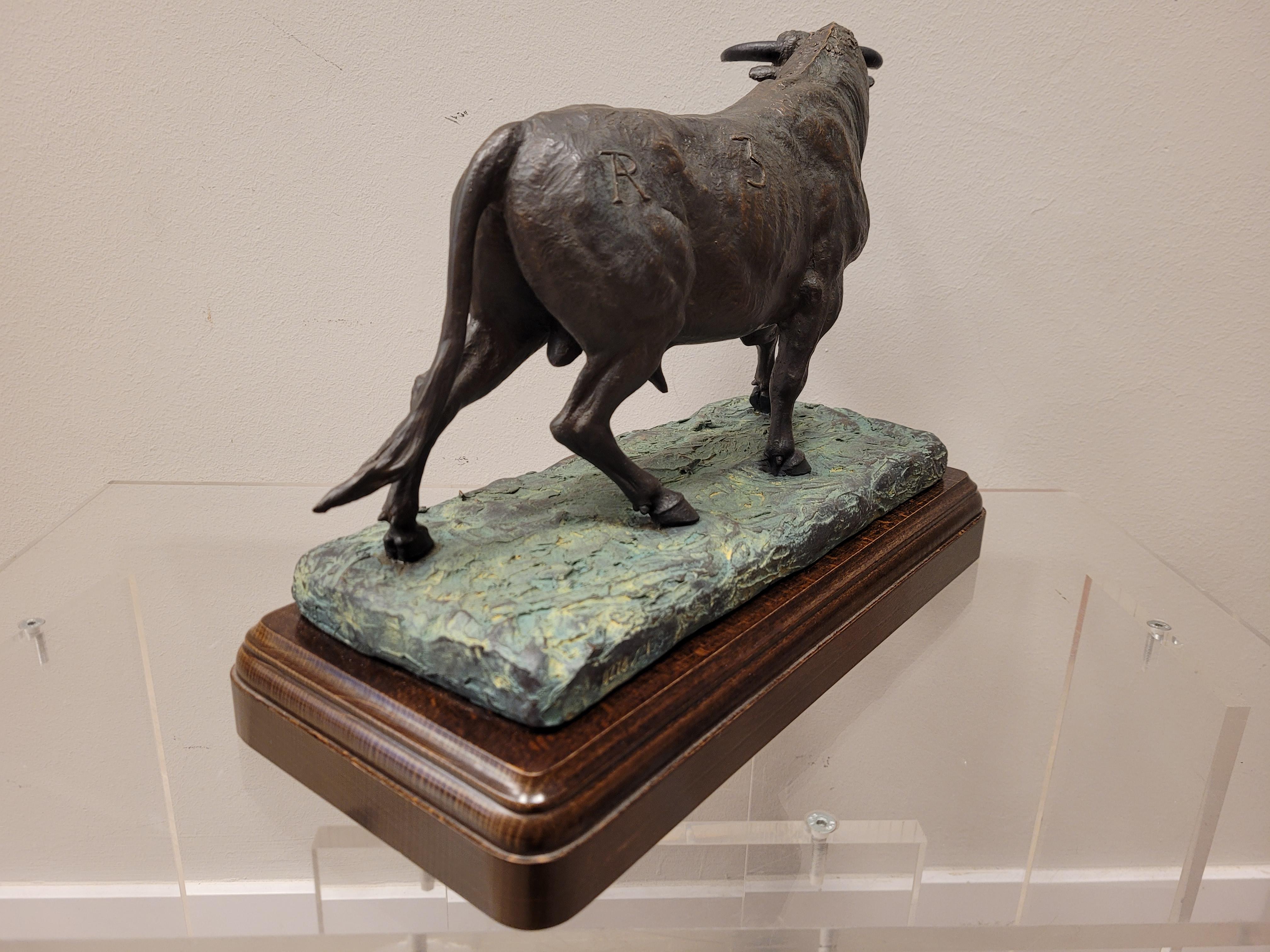 Beautiful Fighting fighting bull made in patinated bronze that presents in bullfighting terms, notable trapping, good looks, recognized caste and fine print that gives this beautiful bronze piece an aesthetic that refers to the majesty, bravery and