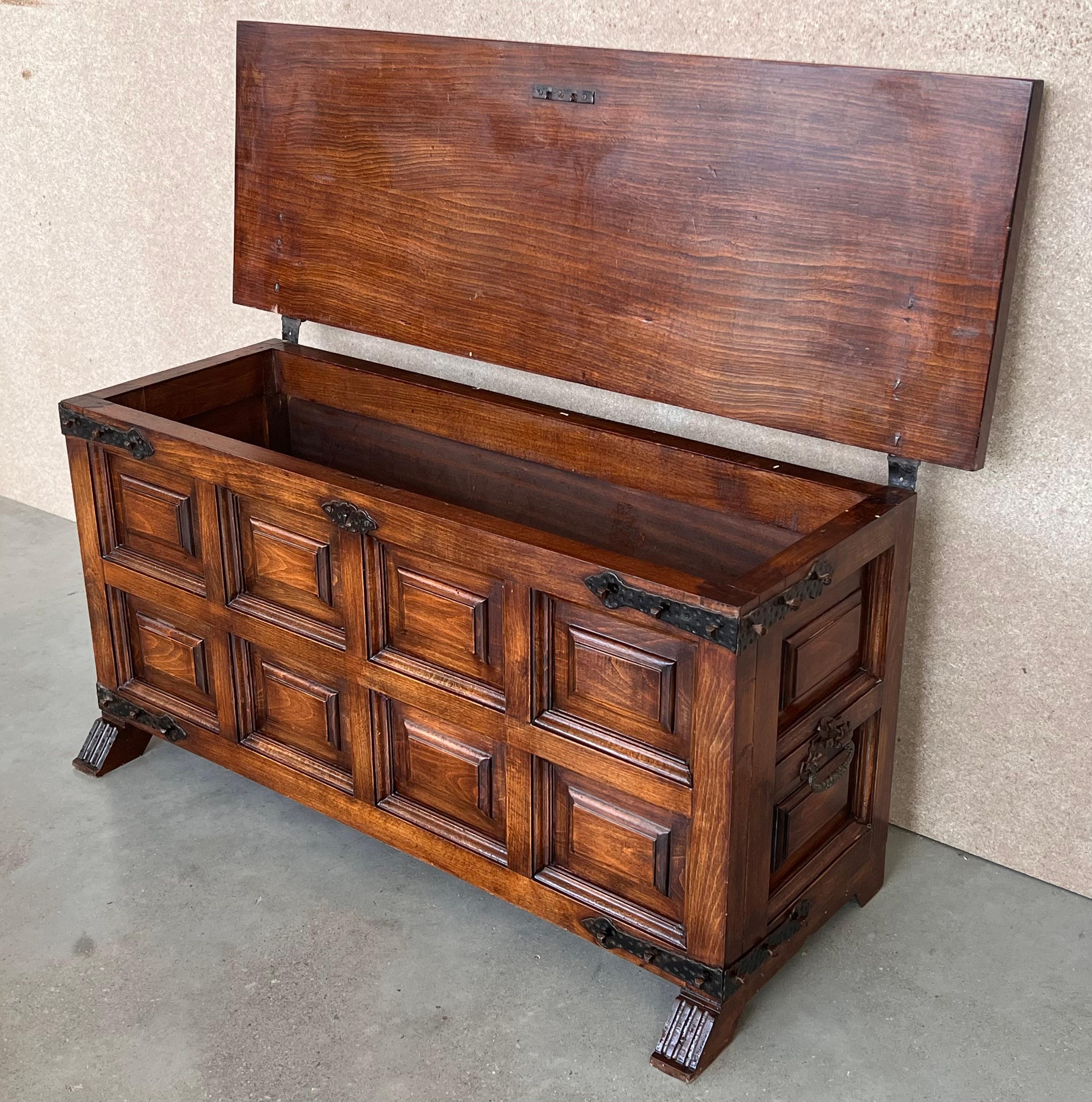 20th Spanish Trunk, Blanket Chest with Raised Wooden Panels and Iron Hardware 2