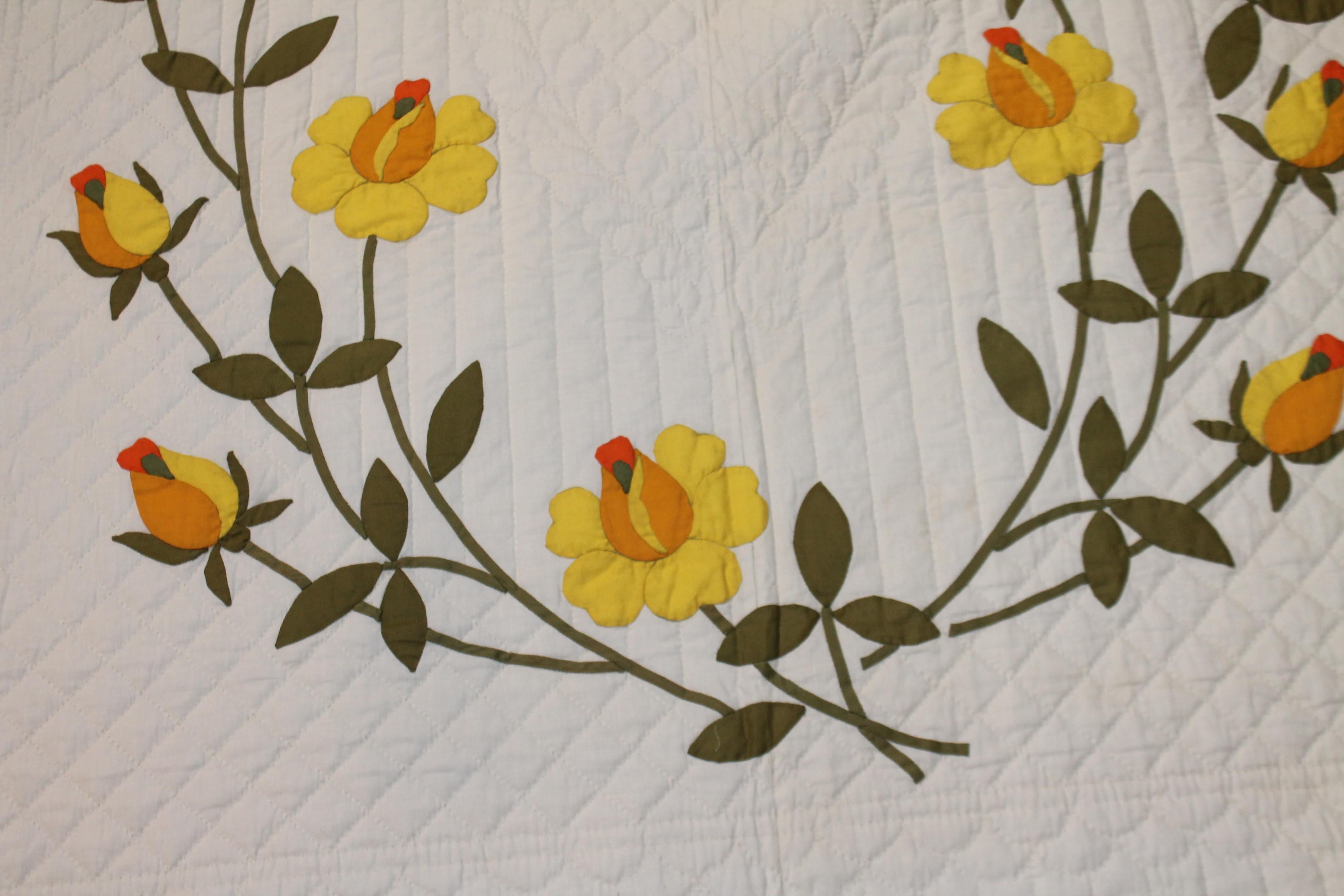 American 20th Century Applique Quilt with Fantastic Quilting For Sale