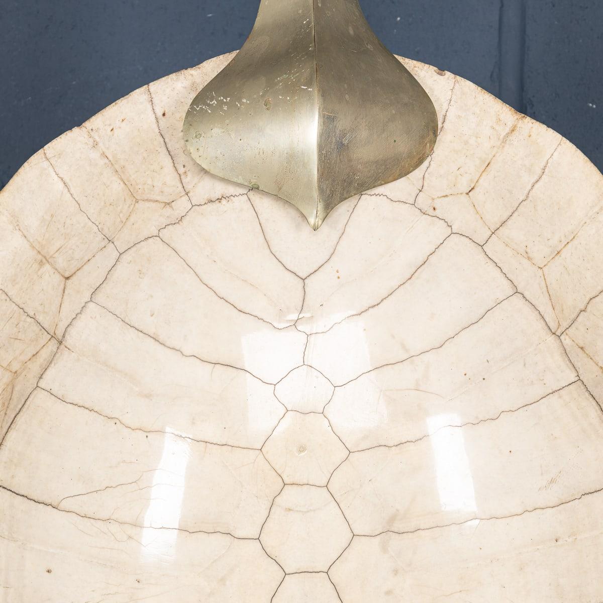 Guscio di tartaruga 