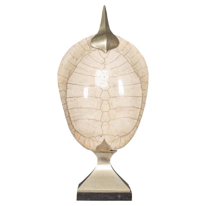 Turtle Shell Stands Large Faux Turtle Shell Mounted on a Chic Lucite Stand at 1stDibs
