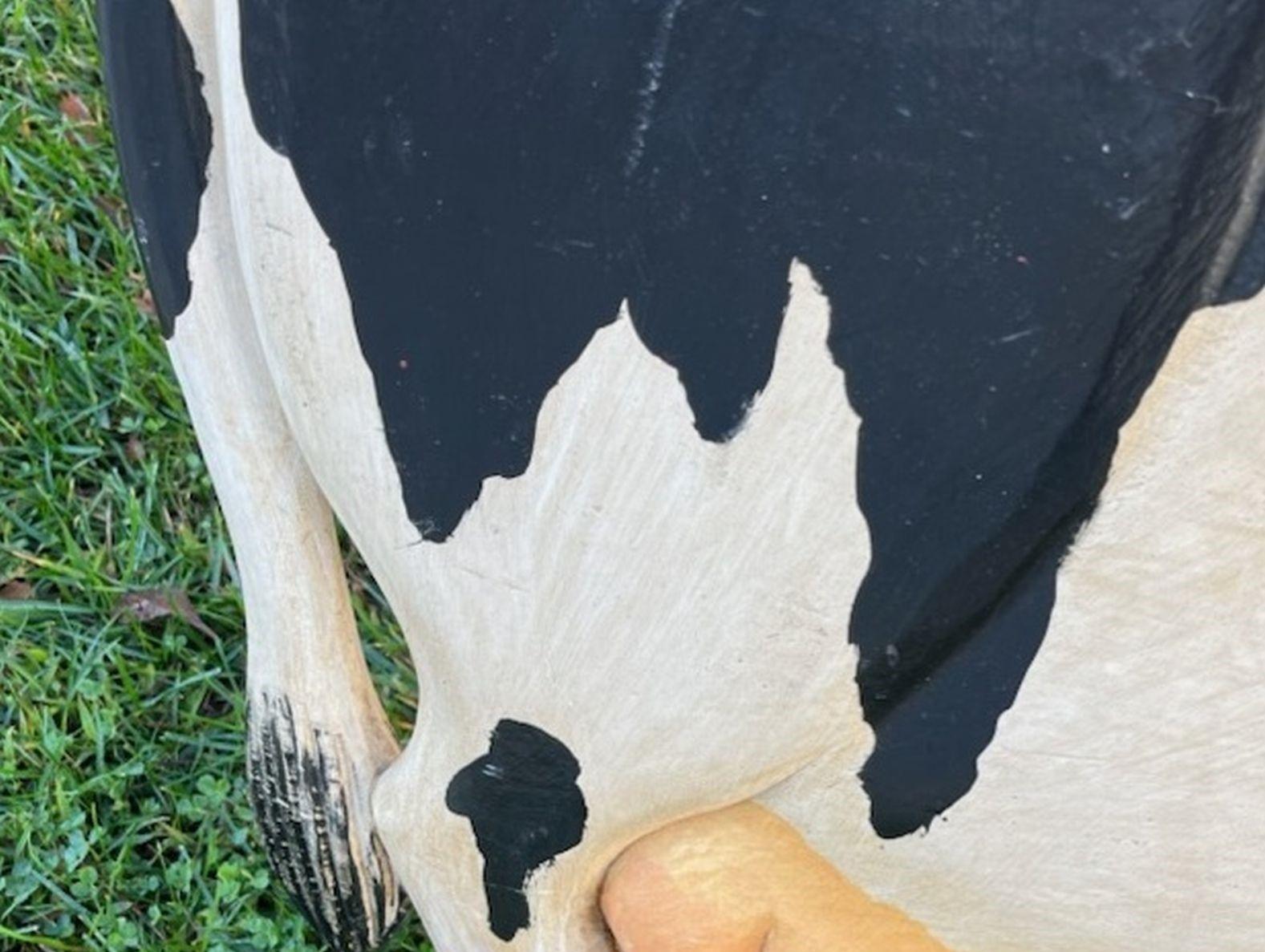 Peint 20ème signe de vache d'art populaire avec chaîne d'origine en vente