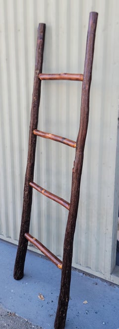 20Thc Old Hickory Ladder
