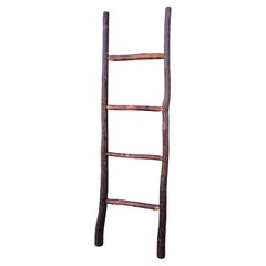 20Thc Old Hickory Ladder