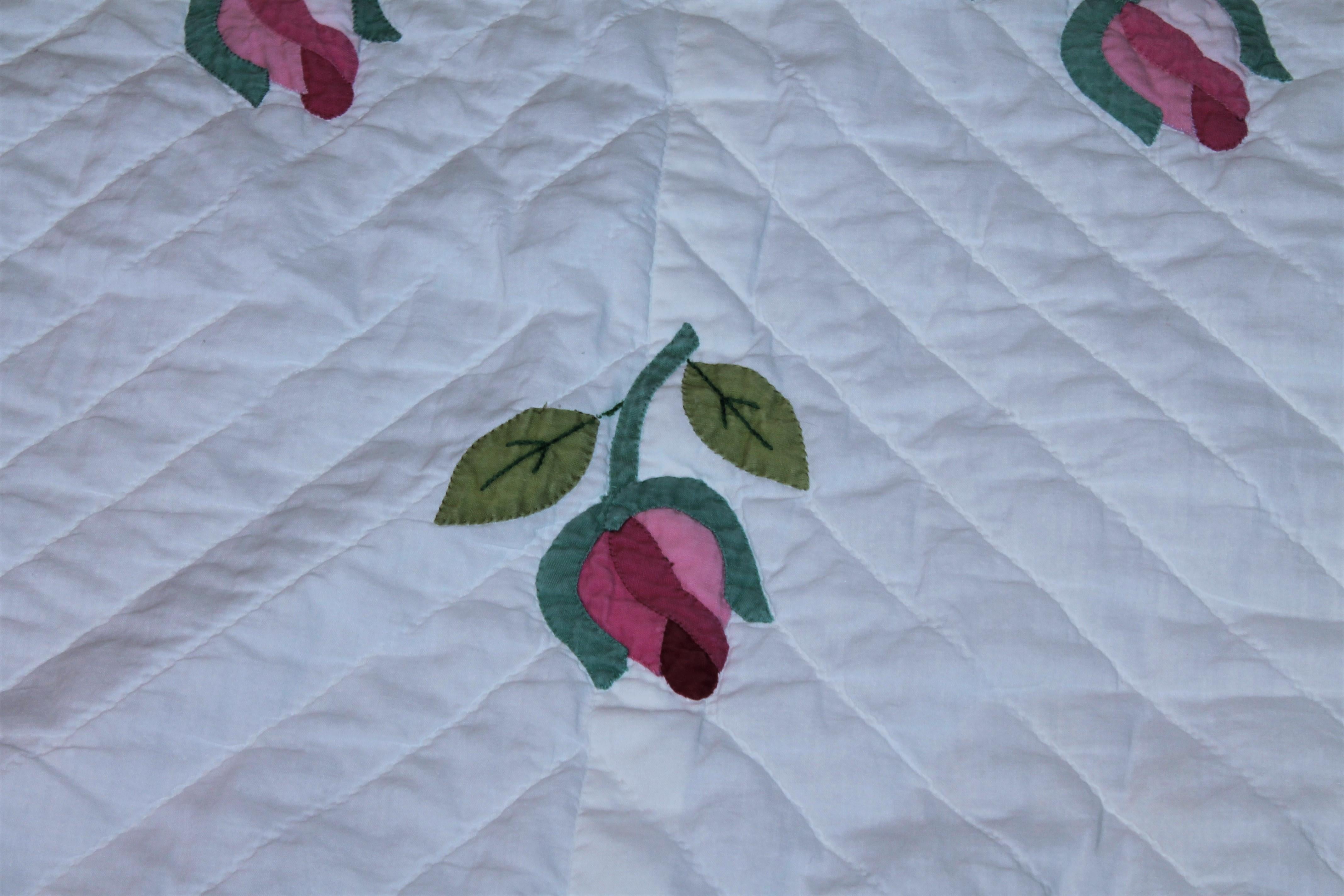 American 20th Century Roses Applique Quilt from Ohio For Sale