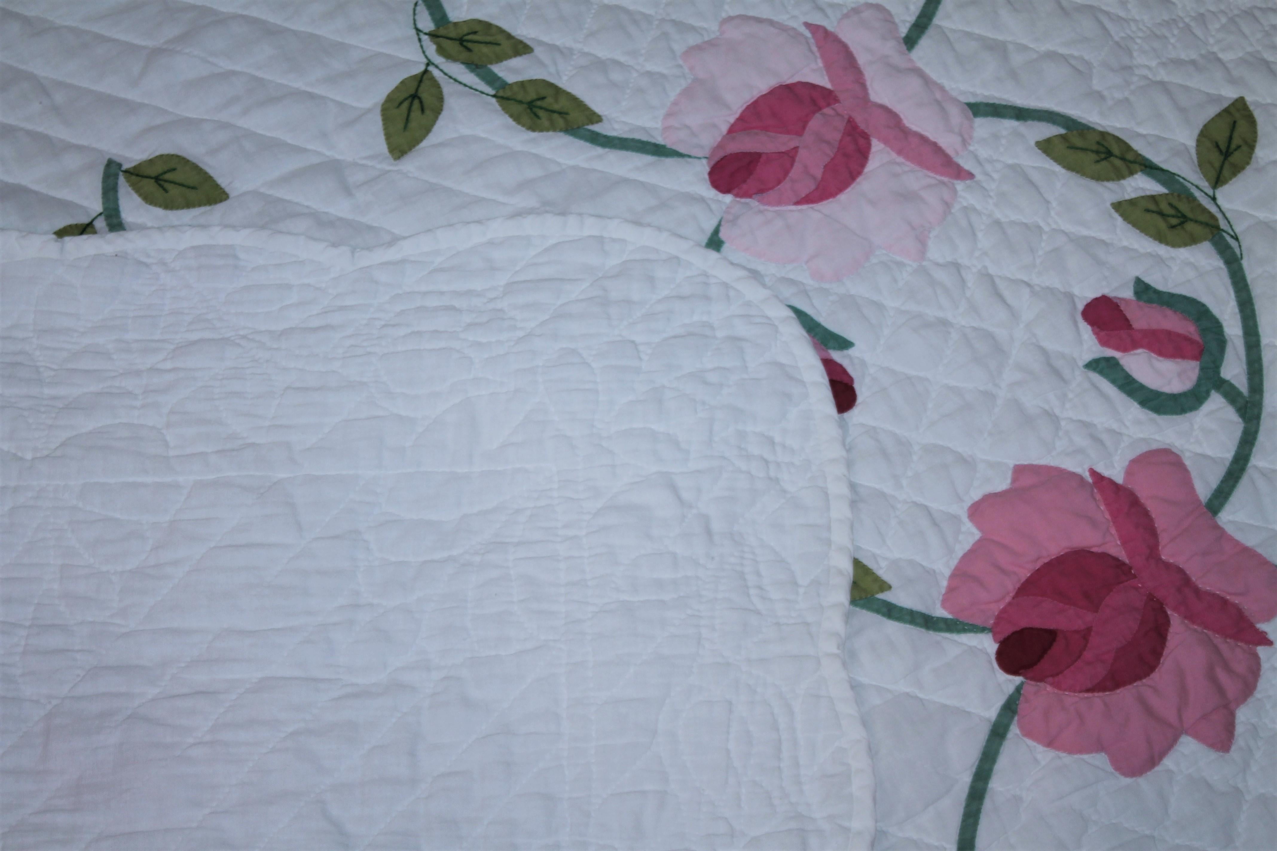 Cotton 20th Century Roses Applique Quilt from Ohio For Sale