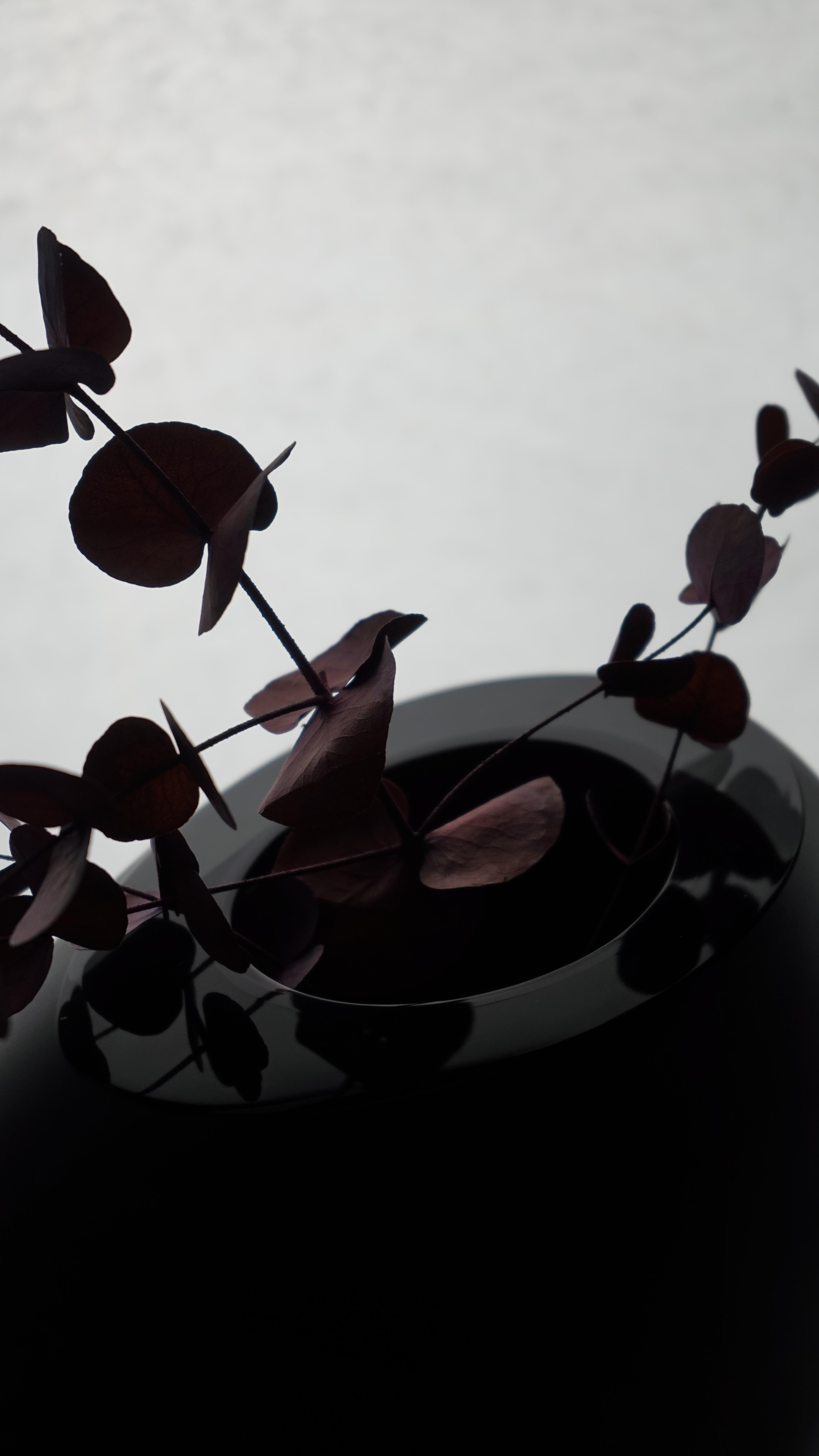Periodo contemporaneo Vaso in vetro di Murano, Notturni op. 2, colore nero, Italia, Kanz, disponibile in vendita