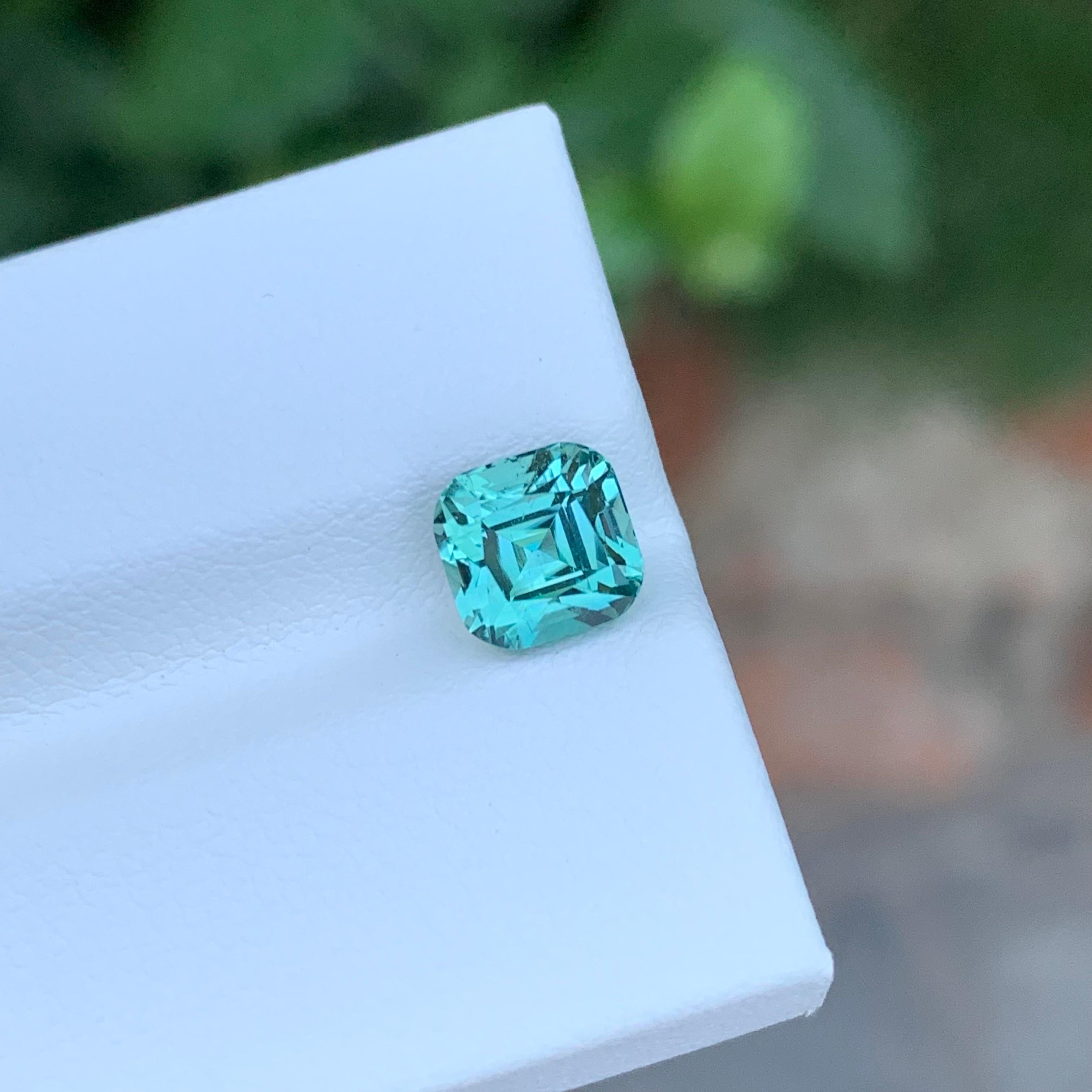 Tourmaline mousse en vrac

Poids : 2,10 carats
Dimension : 6,6 x 6,5 x 5,9 mm
Origine : Afghanistan
Certificat : Sur demande
Traitement : Non


La tourmaline est une pierre précieuse captivante connue pour sa remarquable variété de couleurs, ce qui