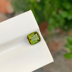 2.10 Carat Natural Loose Green Tourmaline Cushion Shape Gem For Jewellery