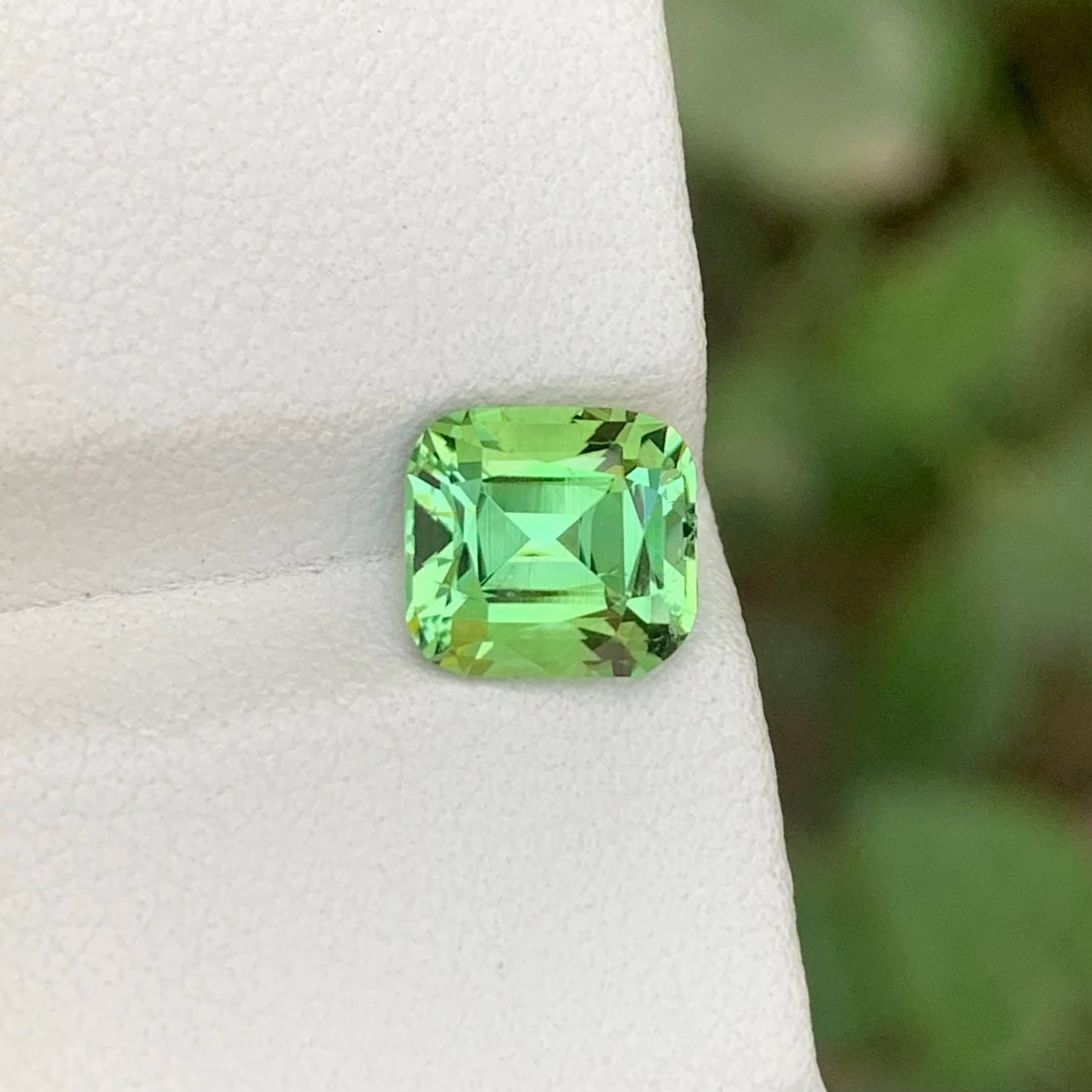 Poids 2,10 carats 
Dimensions 7,8x7,2x5,5 mm
Traitement Aucun 
Origine afghane 
Clarity Eye Clean 
Forme Coupe Coussin 




Cette tourmaline verte menthe naturelle de 2,10 carats présente une teinte verte douce et apaisante avec un ton pastel