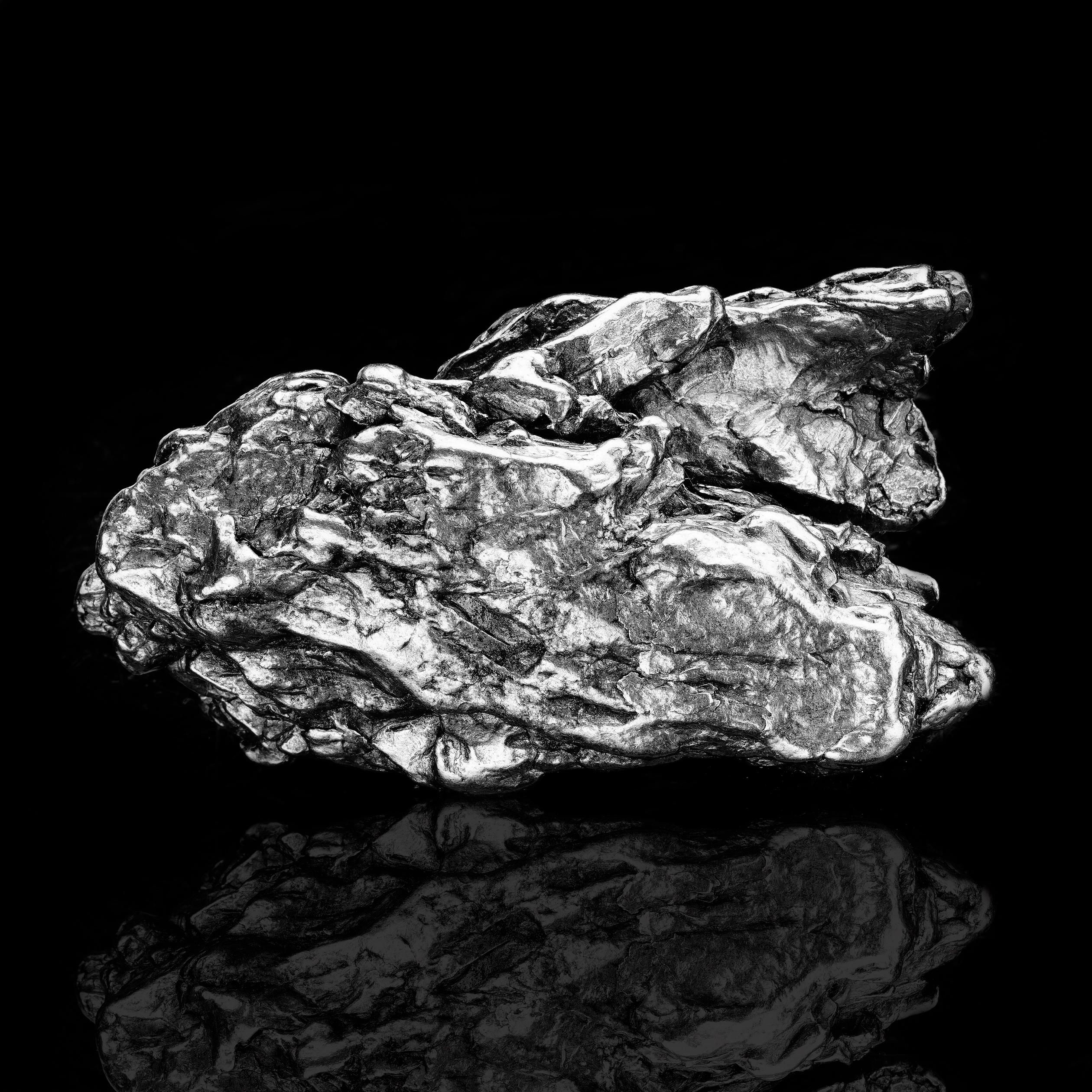 210 grammes Campo del Cielo Meteorite // 4,6 milliards d'années Excellent état - En vente à New York, NY