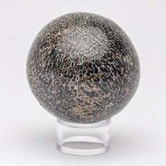 210 Million Y/O Fossil Sauropods Sphere