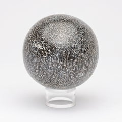 210 Million Y/O Fossil Sauropods Sphere