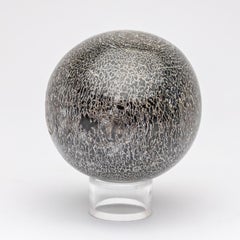 Esfera de saurópodos fósiles de 210 millones de años