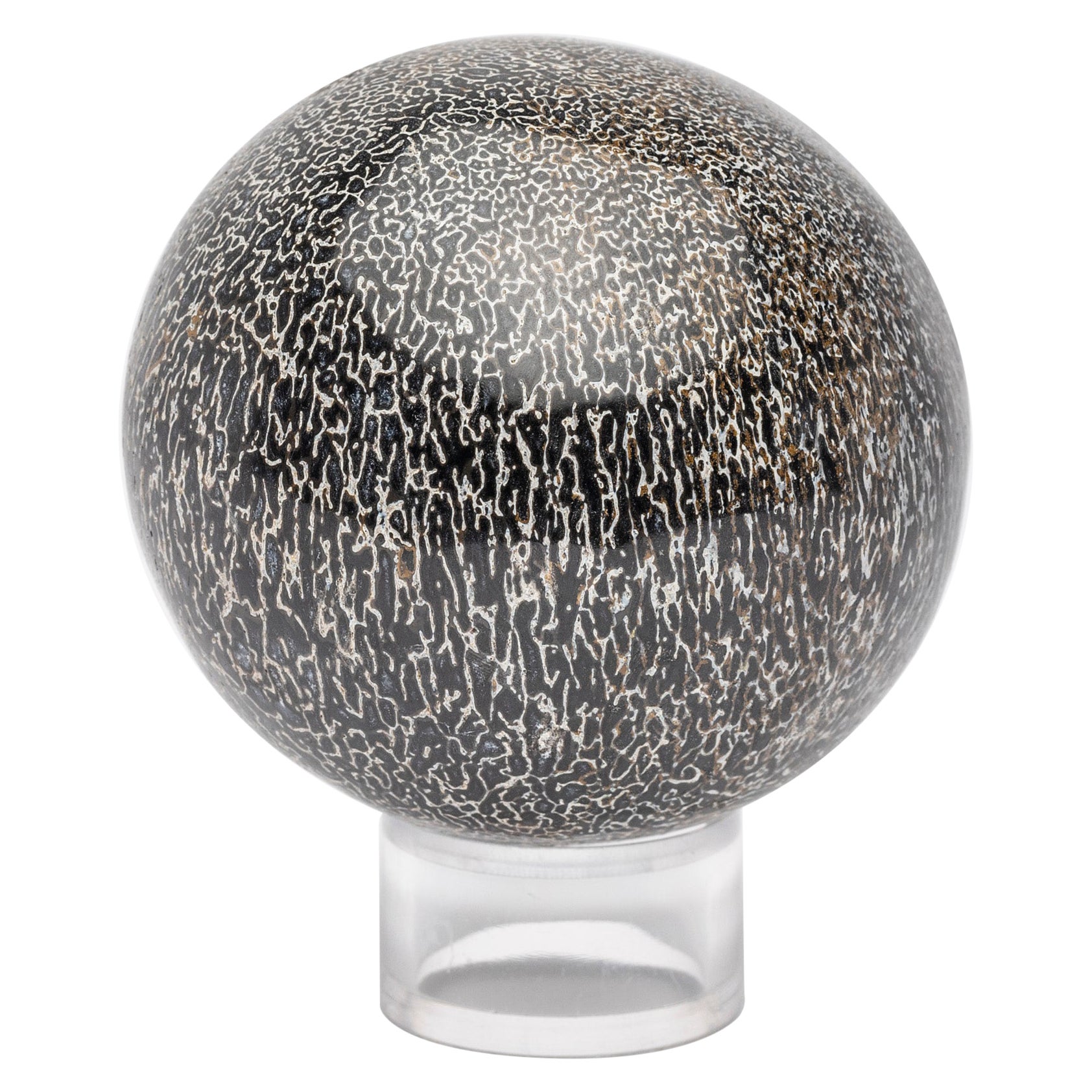 Sfera di sauropodi fossili di 210 milioni di anni fa
