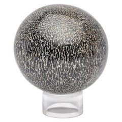 210 Million Y/O Fossil Sauropods Sphere