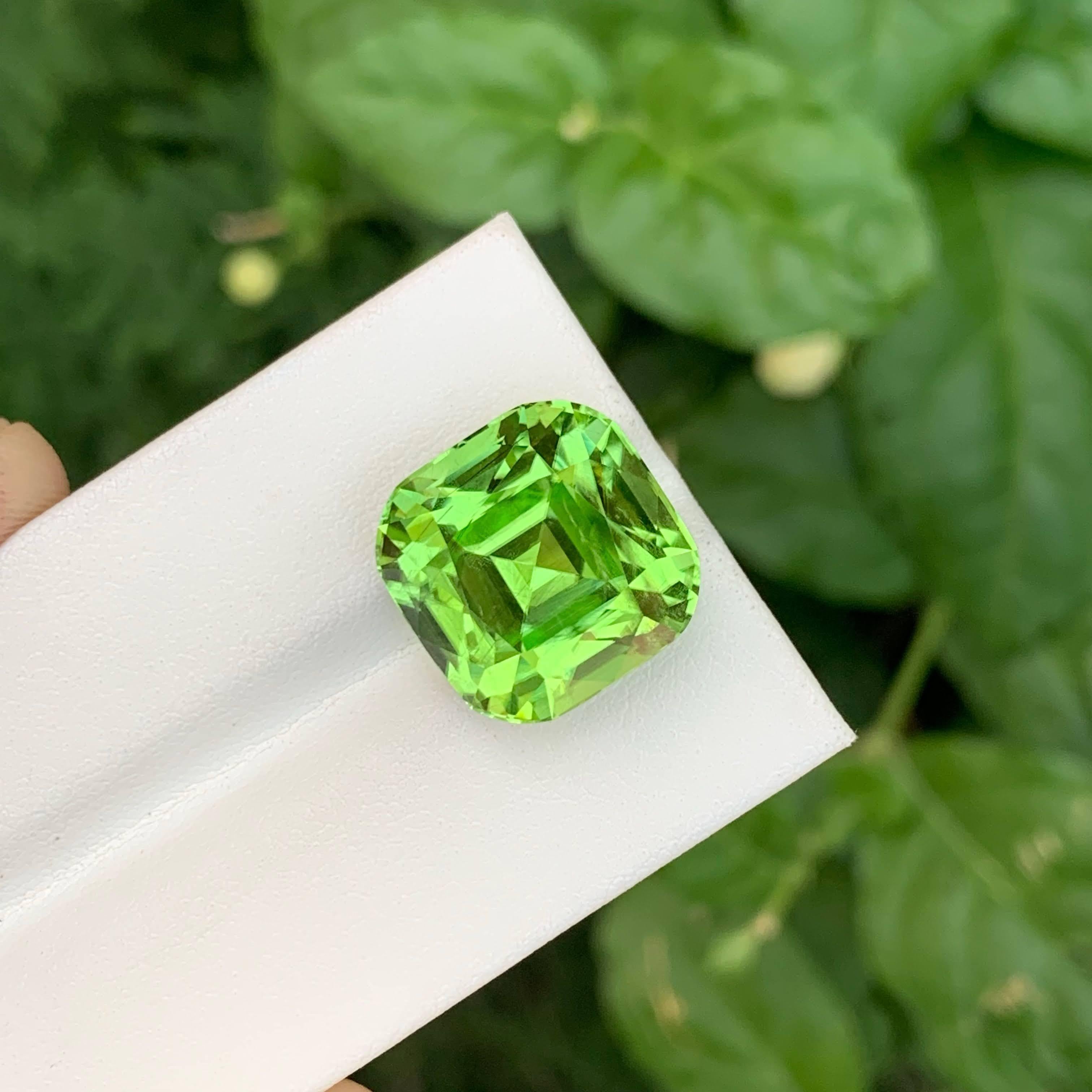 21,00 Karat Natürlicher loser grüner Peridot Stein Cushion Cut Pakistanischer Edelstein im Zustand „Neu“ im Angebot in Bangkok, TH