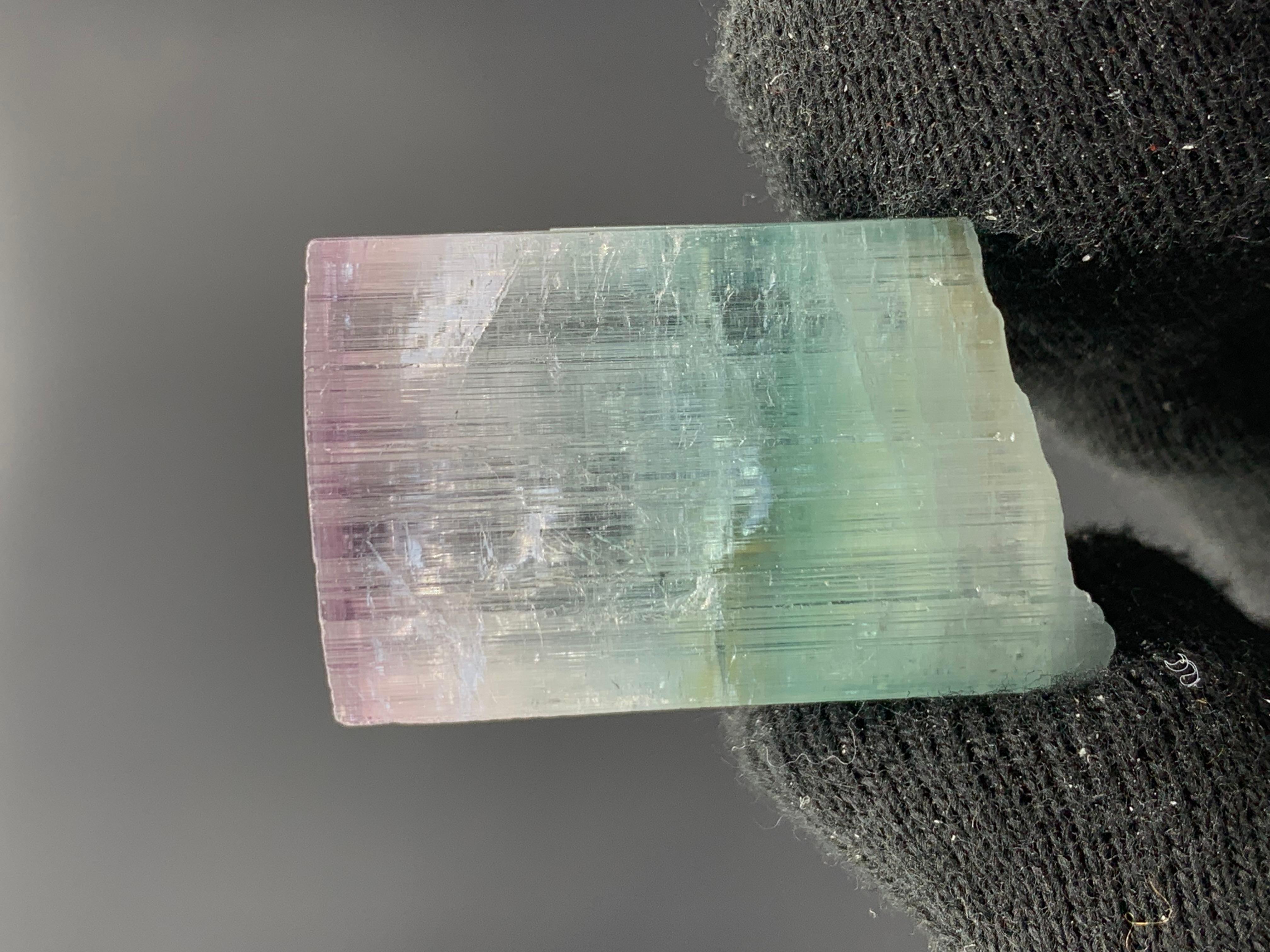 21.07 Gram Eye Catching Tri Color Tourmaline Crystal From Kunar, Afghanistan  For Sale 3