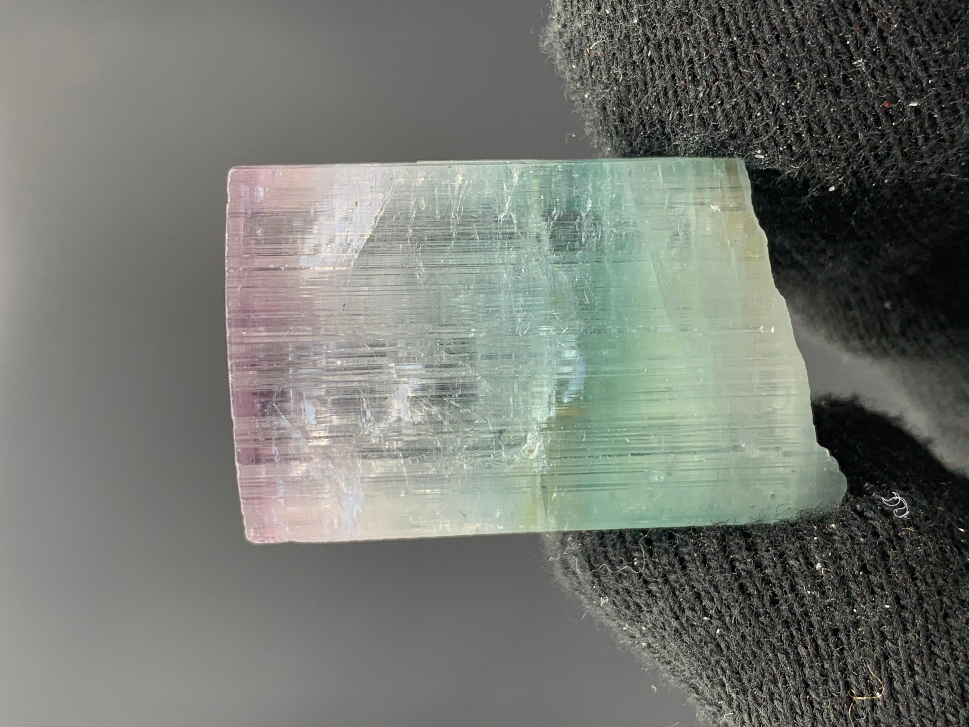 21.07 Gram Eye Catching Tri Color Tourmaline Crystal From Kunar, Afghanistan  For Sale 4