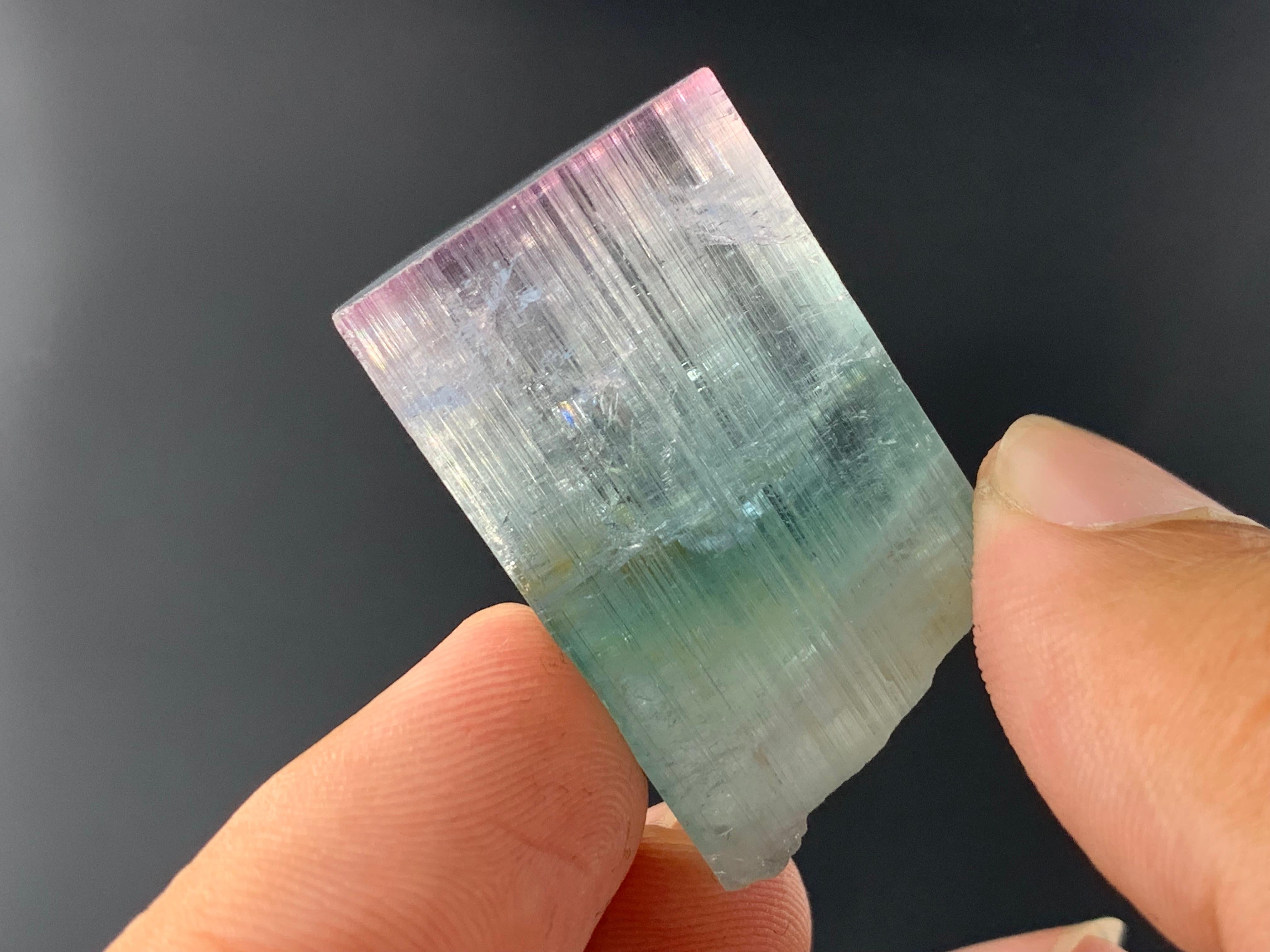 21.07 Gram Eye Catching Tri Color Tourmaline Crystal From Kunar, Afghanistan  For Sale 8