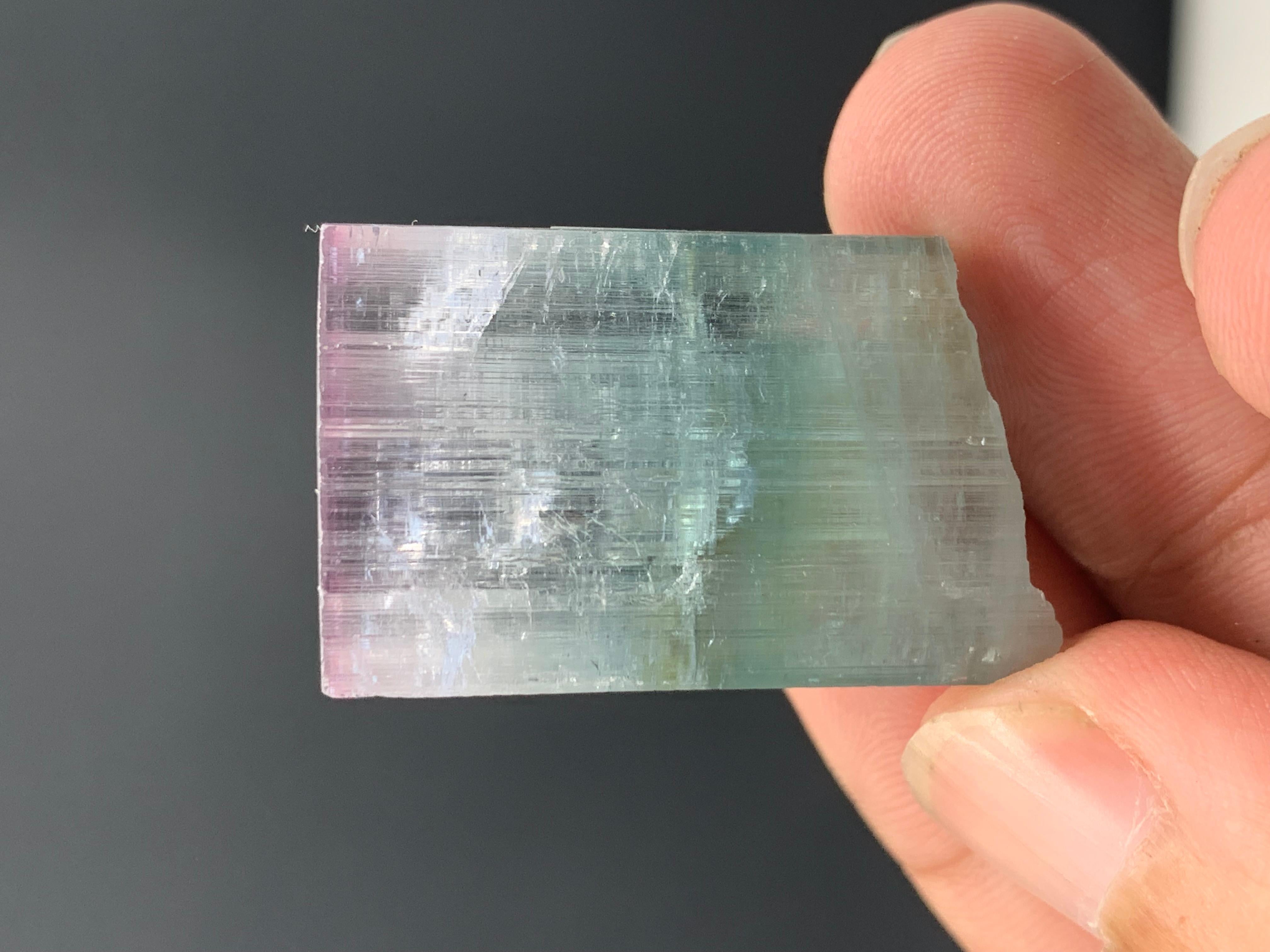 21.07 Gram Eye Catching Tri Color Tourmaline Crystal From Kunar, Afghanistan  In Good Condition For Sale In Peshawar, PK