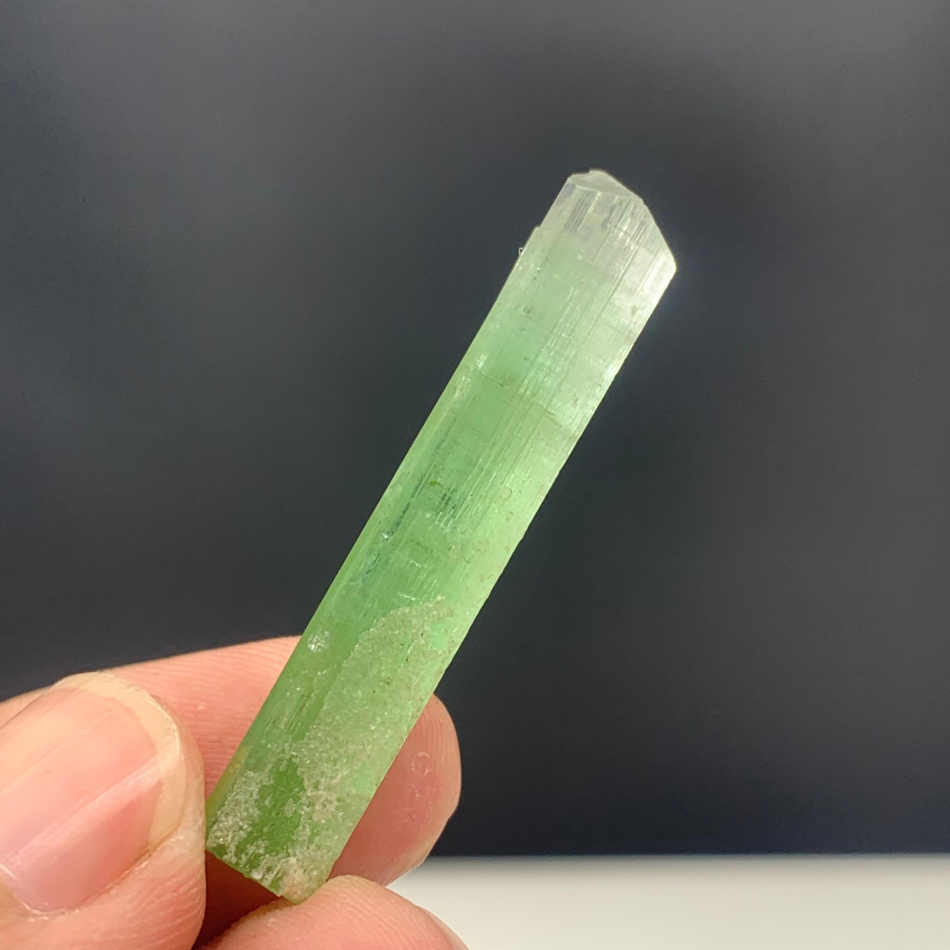 21.20 Carats Beautiful Bi Color Tourmaline Crystal from Kunar Afghanistan For Sale 3
