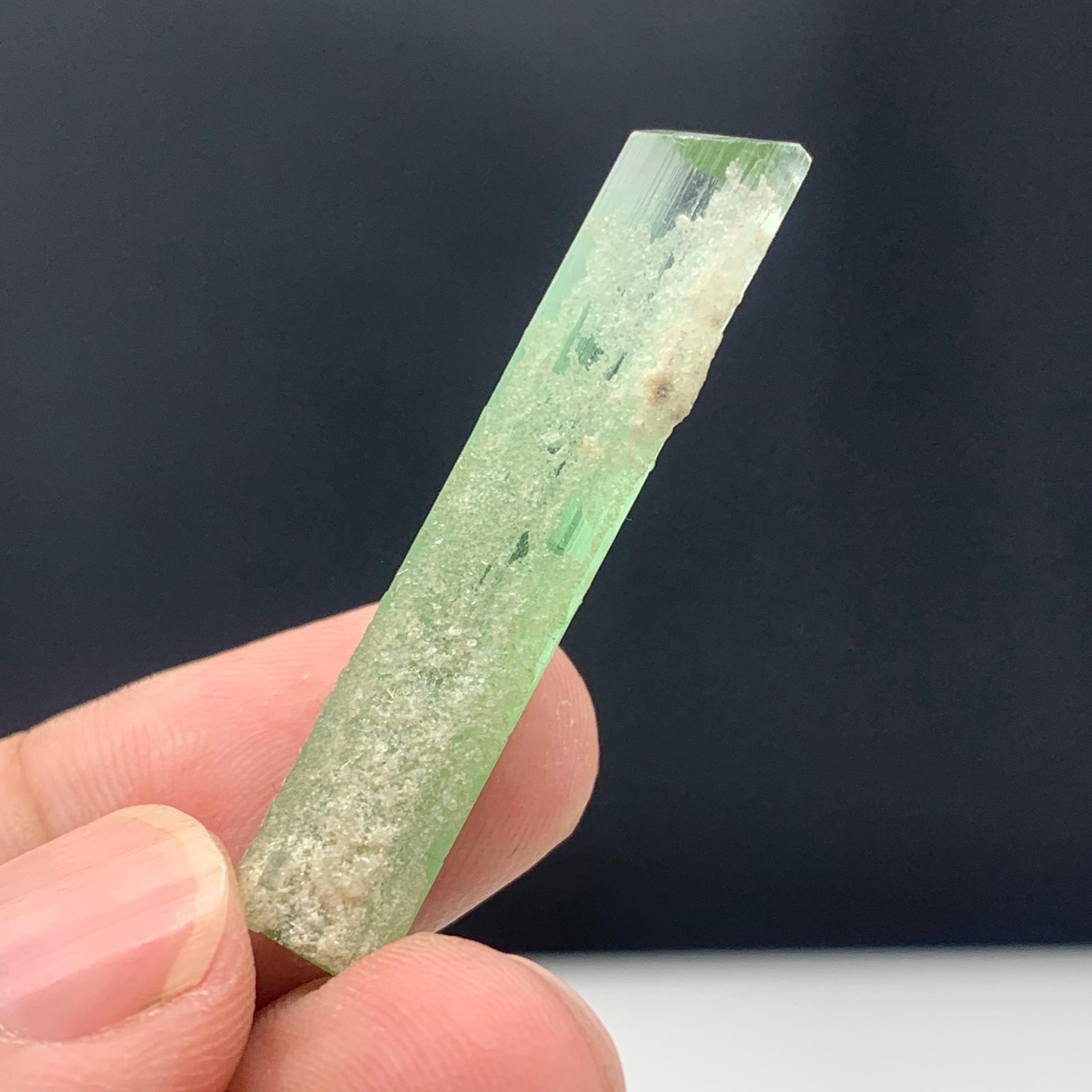 21.20 Carats Beautiful Bi Color Tourmaline Crystal from Kunar Afghanistan For Sale 4