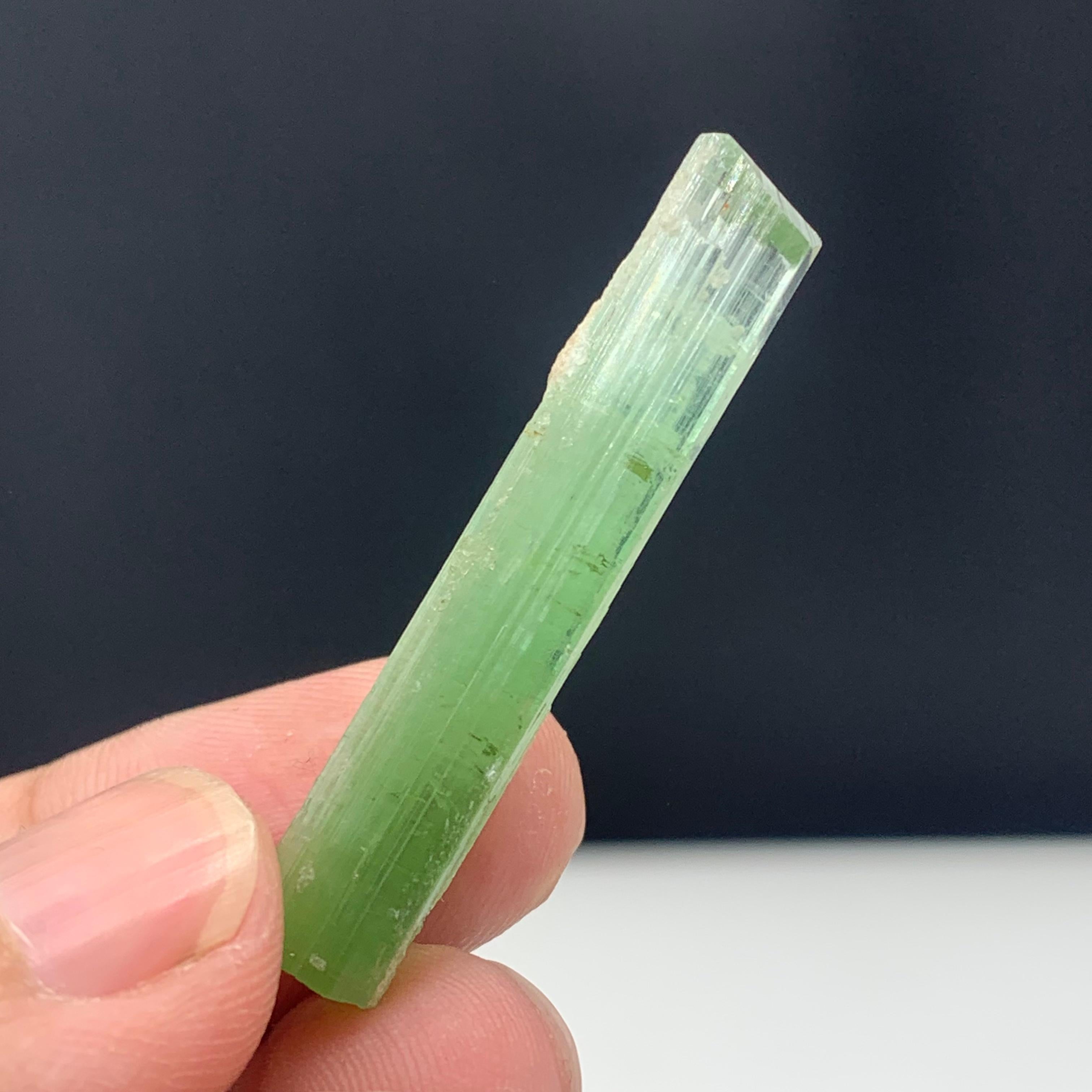 21.20 Carats Beautiful Bi Color Tourmaline Crystal from Kunar Afghanistan For Sale 5