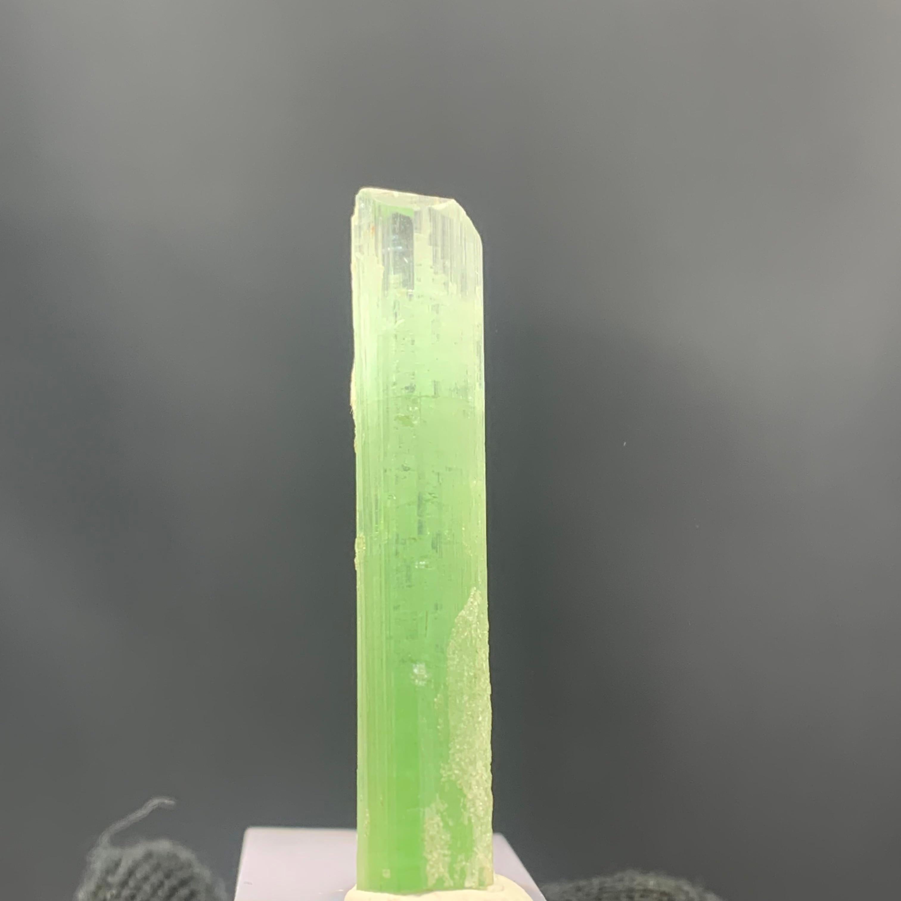 Beautiful Bi Color Tourmaline Crystal From From Kunar Afghanistan 

Weight: 21.20 Cts 
Dim: 4.2 x 0.8 x 0.6 Cm
Origin: Kunar, Afghanistan 

Tourmaline is a crystalline silicate mineral group in which boron is compounded with elements such as