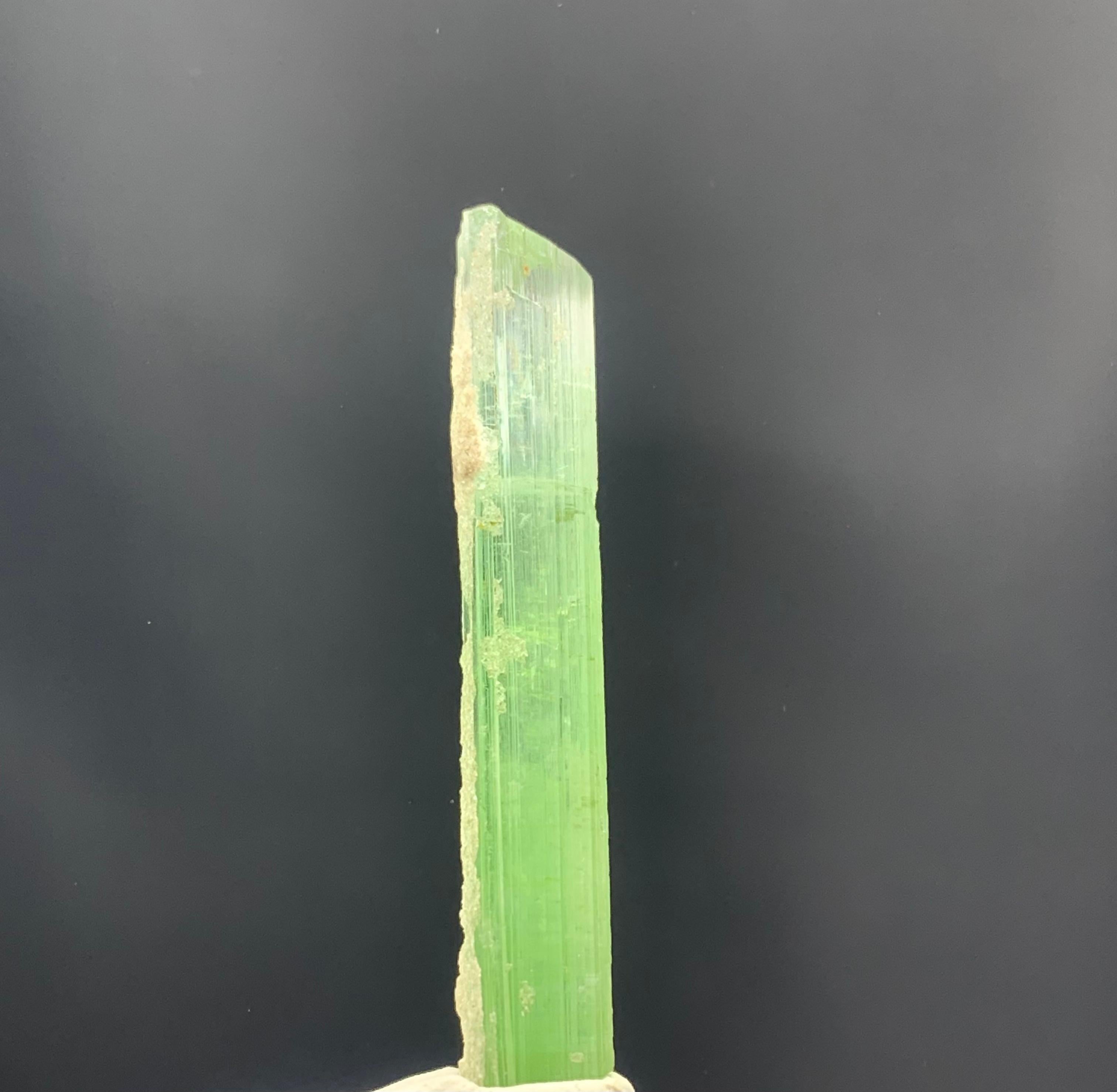 Adam Style 21.20 Carats Beautiful Bi Color Tourmaline Crystal from Kunar Afghanistan For Sale