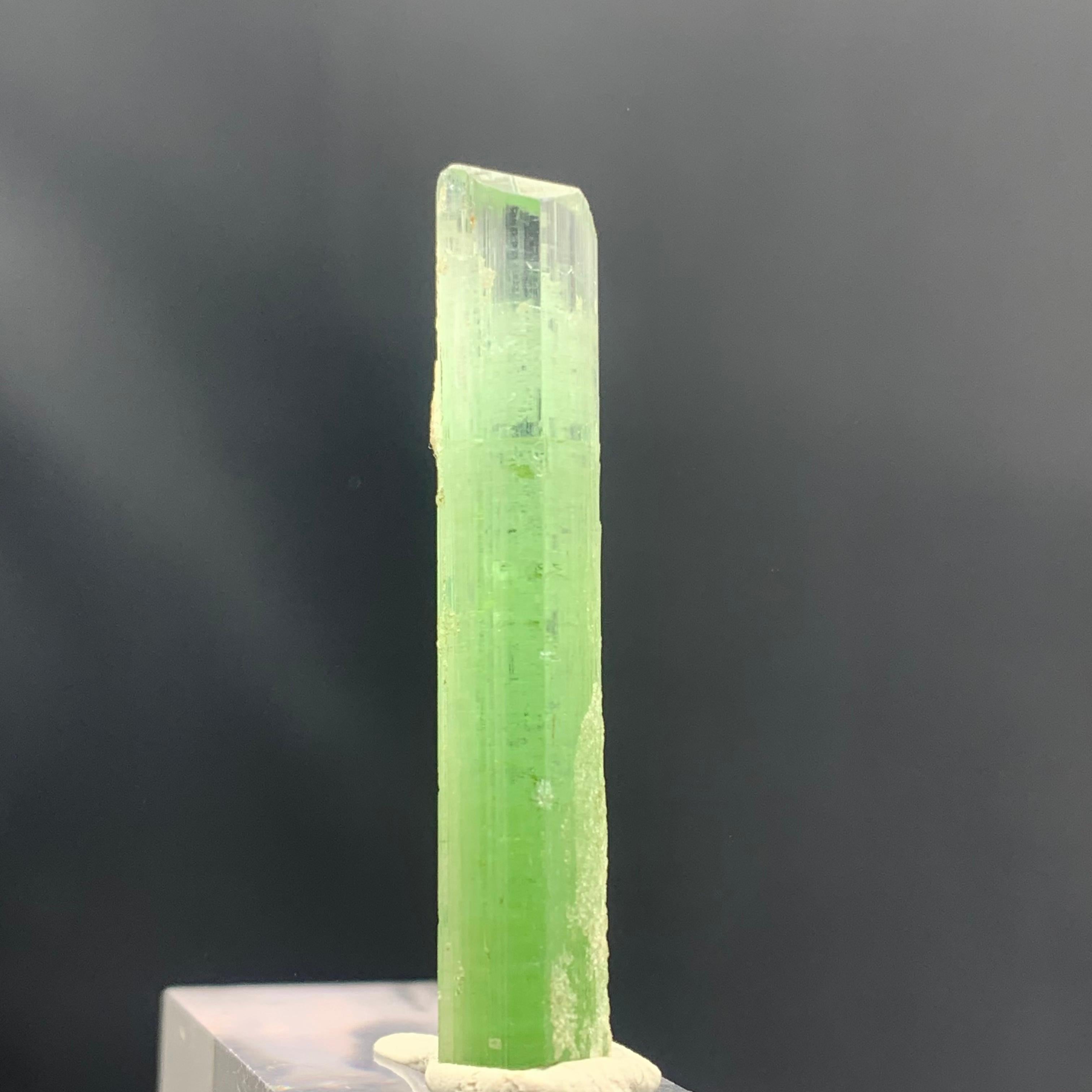 Other 21.20 Carats Beautiful Bi Color Tourmaline Crystal from Kunar Afghanistan For Sale