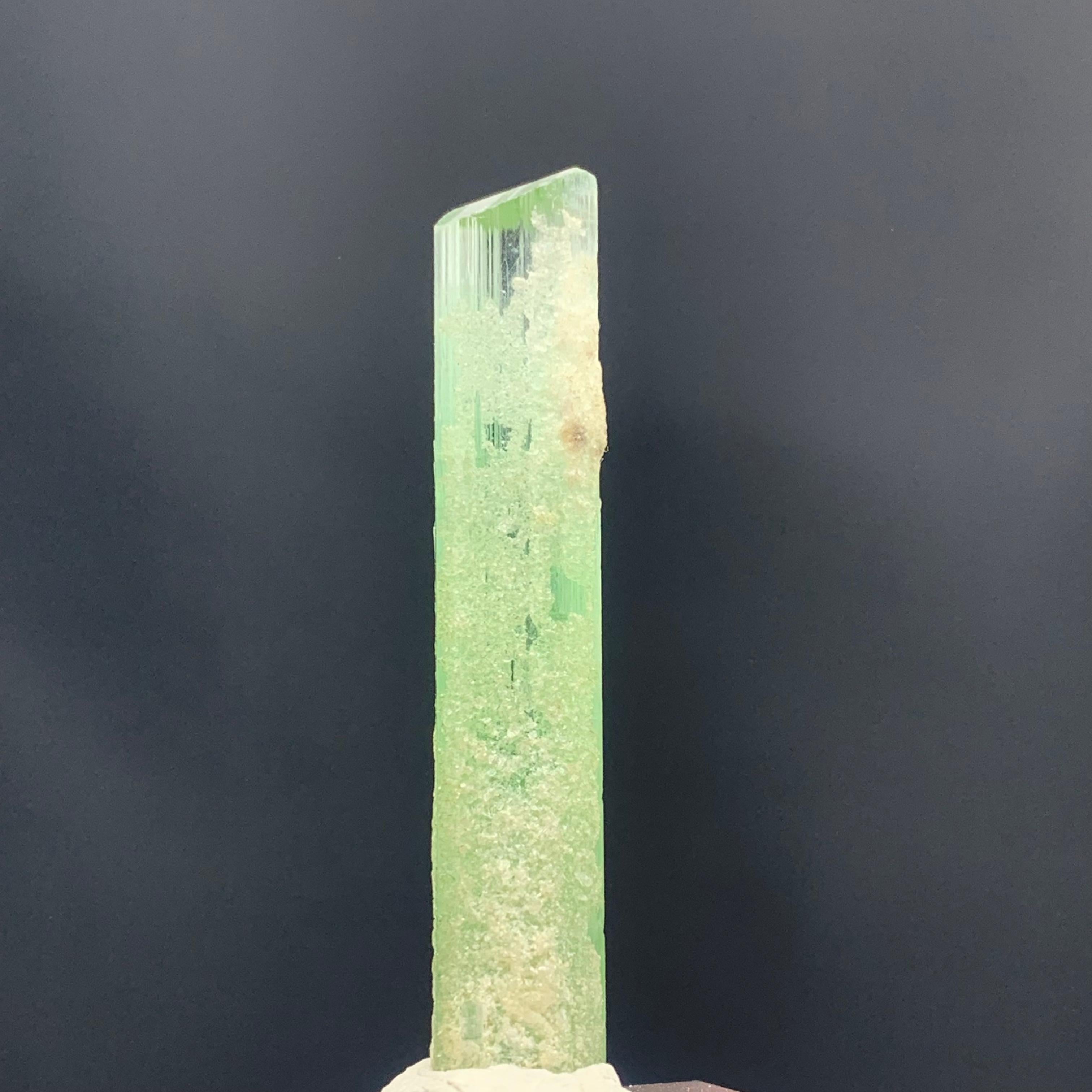 21.20 Carats Beautiful Bi Color Tourmaline Crystal from Kunar Afghanistan In Good Condition For Sale In Peshawar, PK