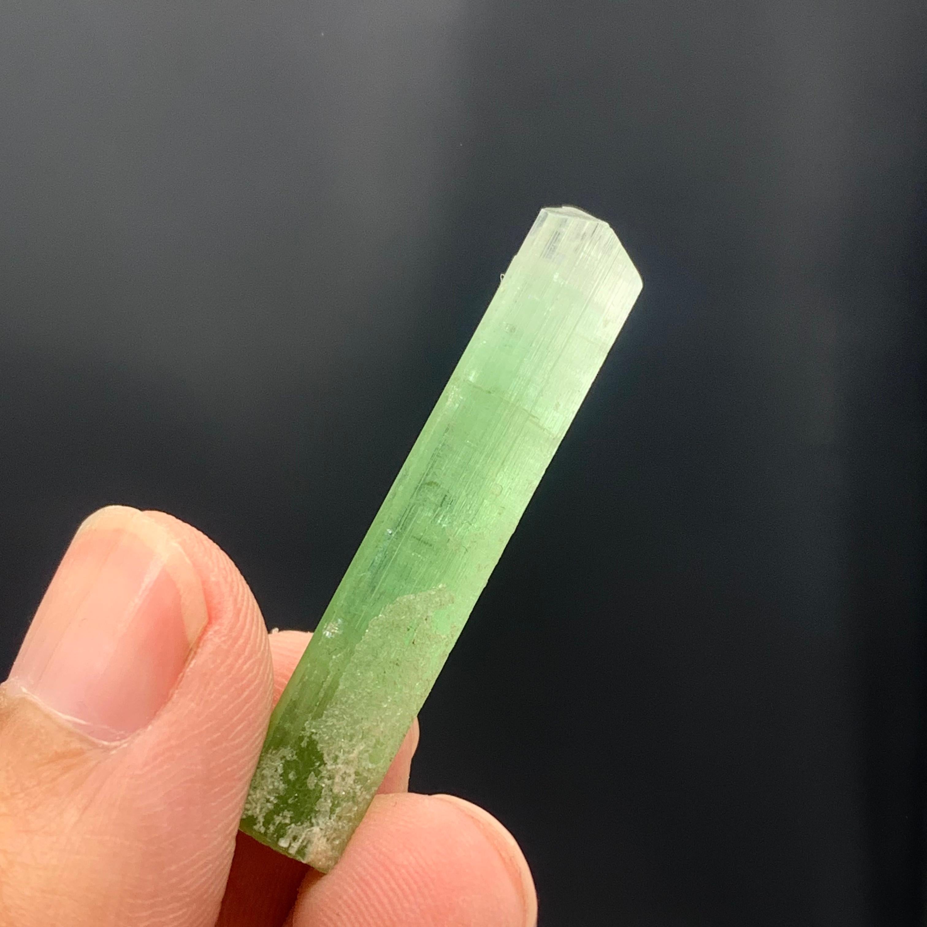 18th Century and Earlier 21.20 Carats Beautiful Bi Color Tourmaline Crystal from Kunar Afghanistan For Sale