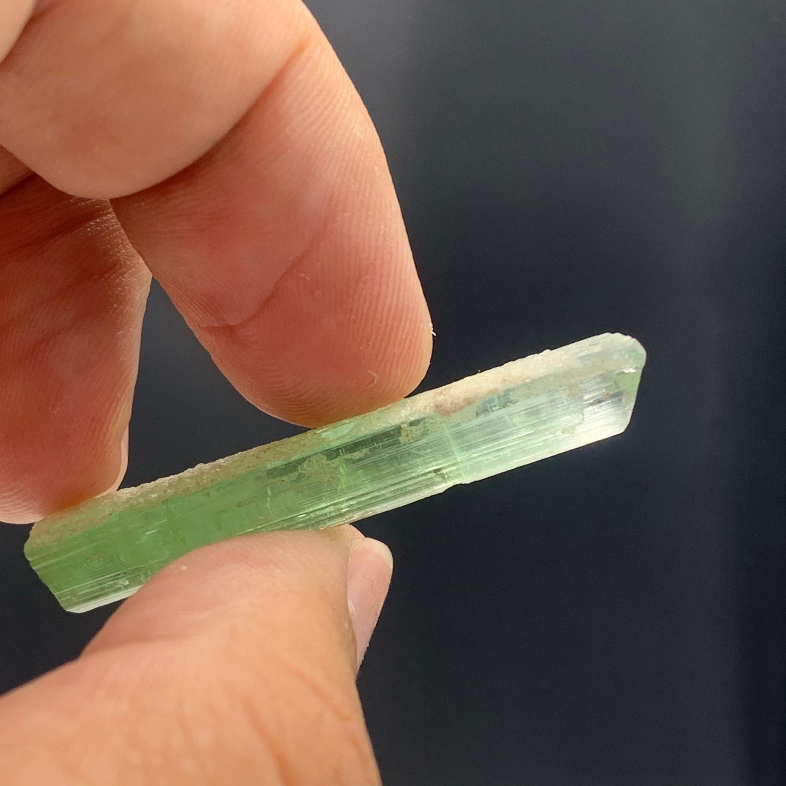 Rock Crystal 21.20 Carats Beautiful Bi Color Tourmaline Crystal from Kunar Afghanistan For Sale