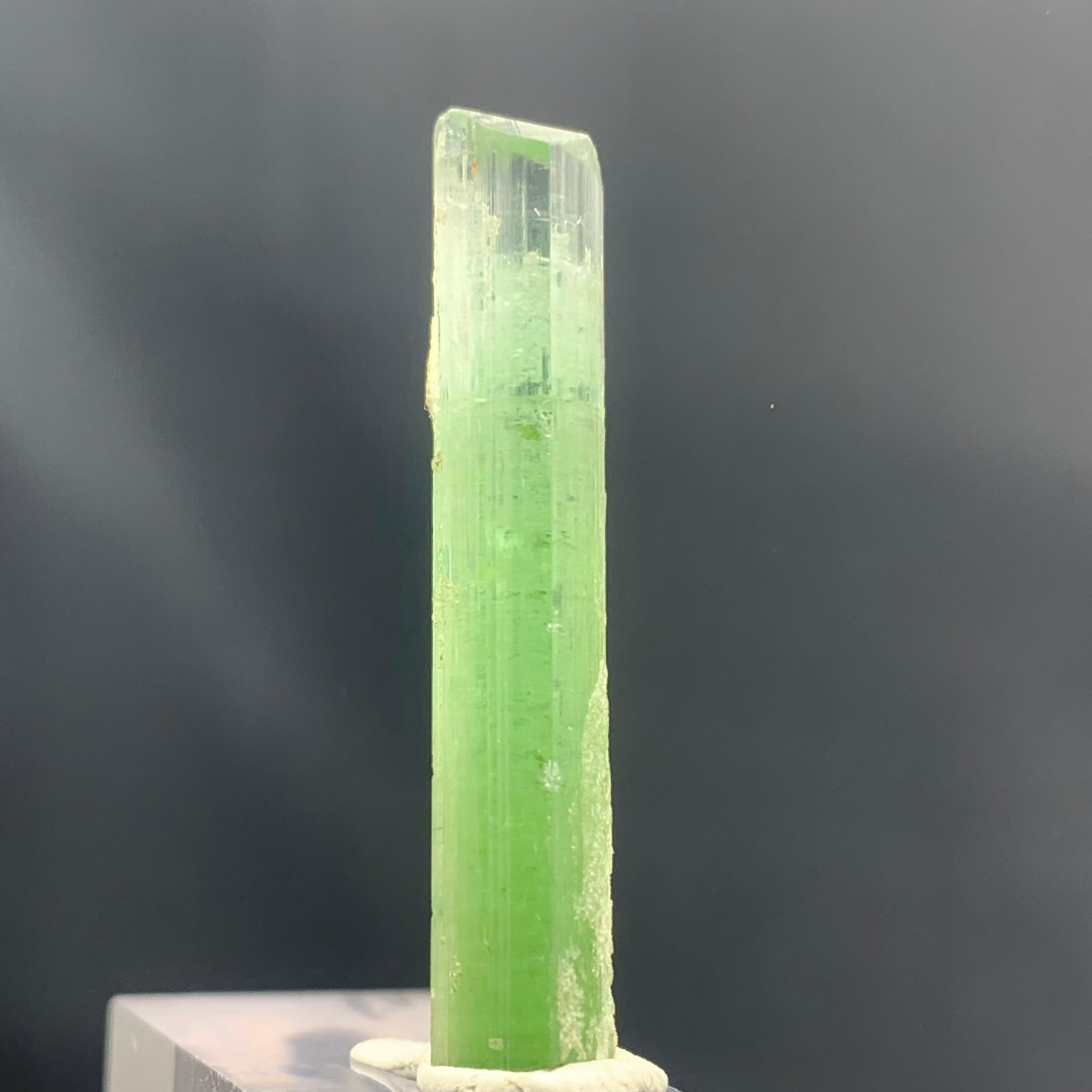 21.20 Carats Beautiful Bi Color Tourmaline Crystal from Kunar Afghanistan For Sale 1