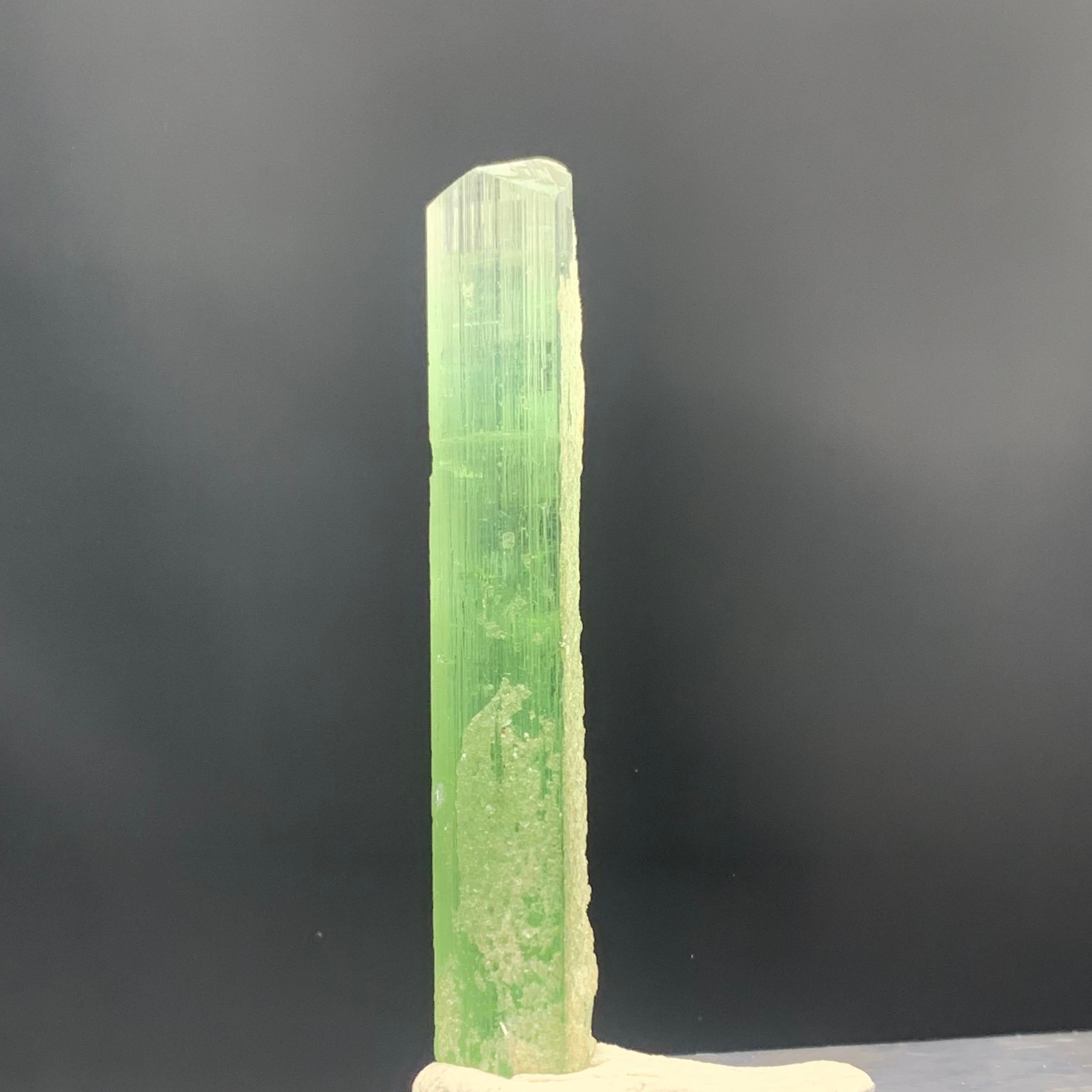 21.20 Carats Beautiful Bi Color Tourmaline Crystal from Kunar Afghanistan For Sale 2