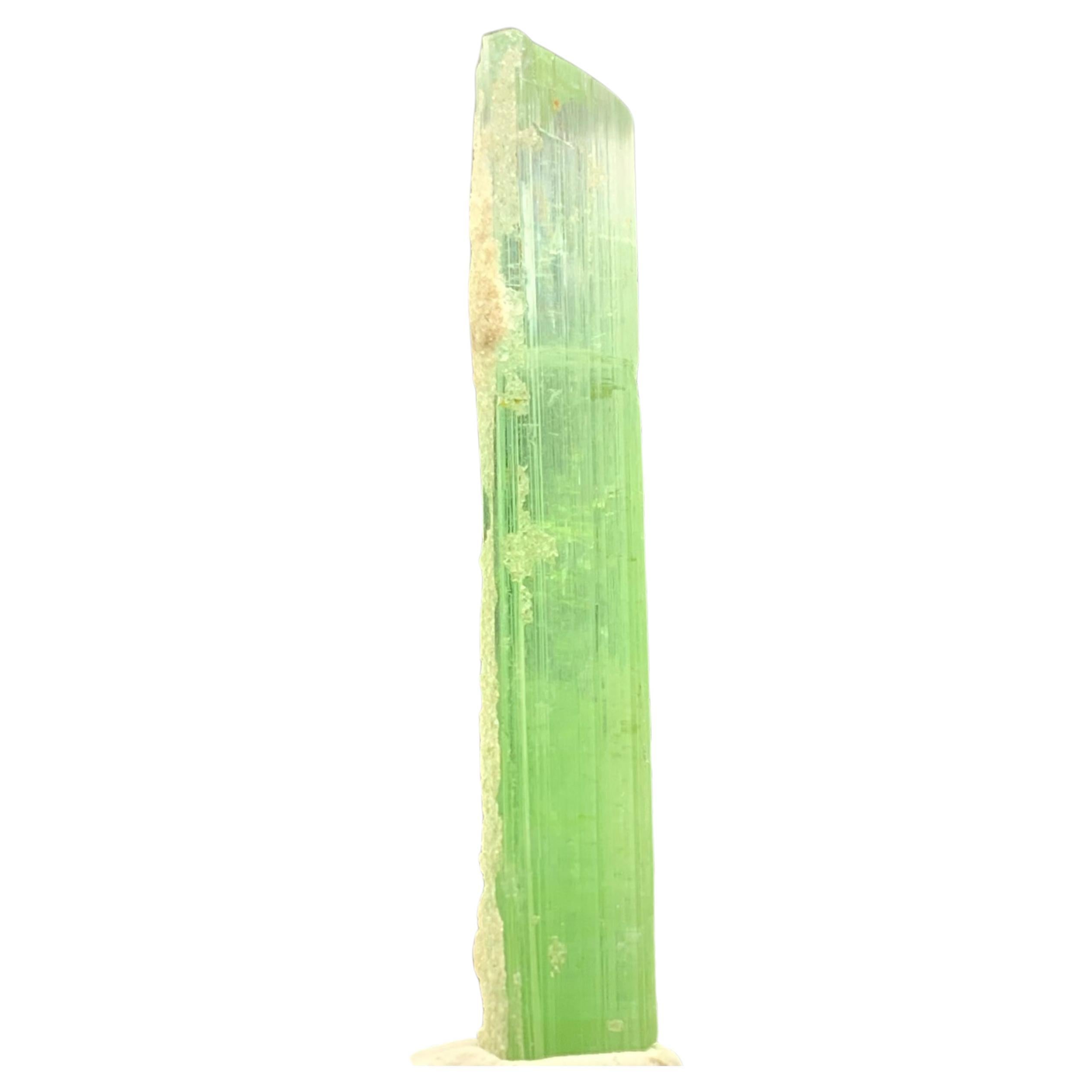 21.20 Carats Beautiful Bi Color Tourmaline Crystal from Kunar Afghanistan For Sale
