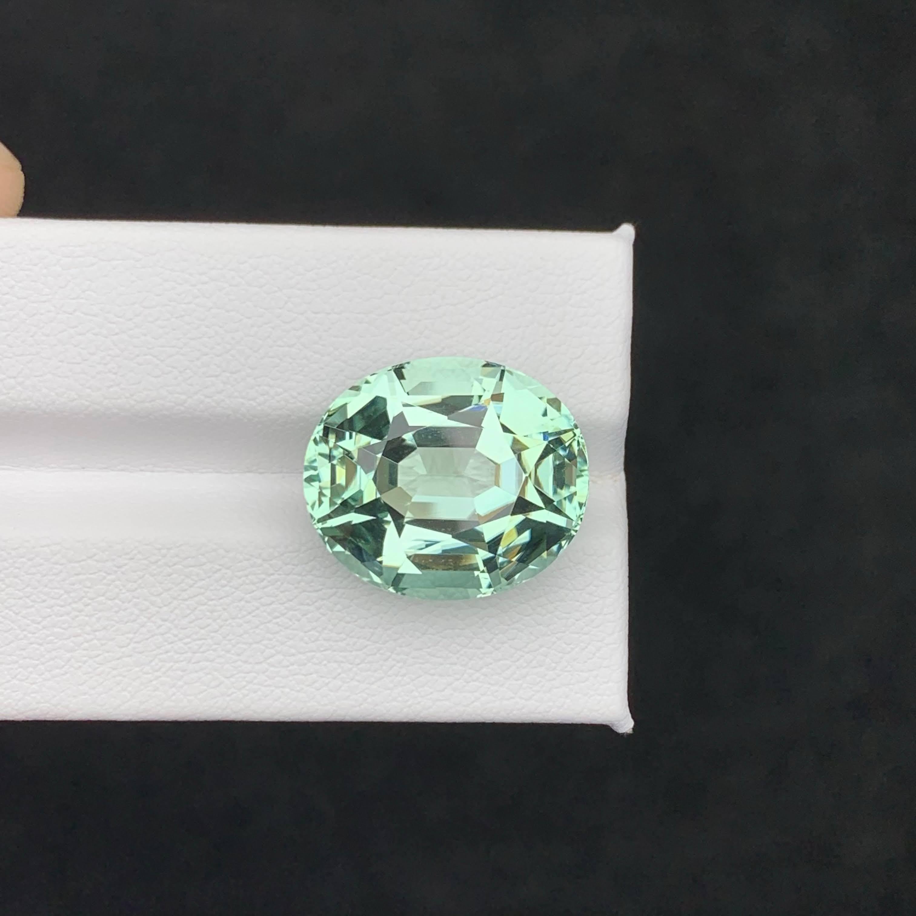 21.35 Carat Loose Mint Green Tourmaline Oval – Rare Gem for Collectors & Custom For Sale 4