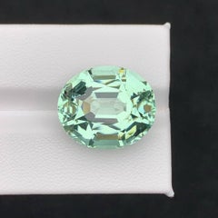 21.35 Carat Loose Mint Green Tourmaline Oval - Rare Gem for Collectors & Custom