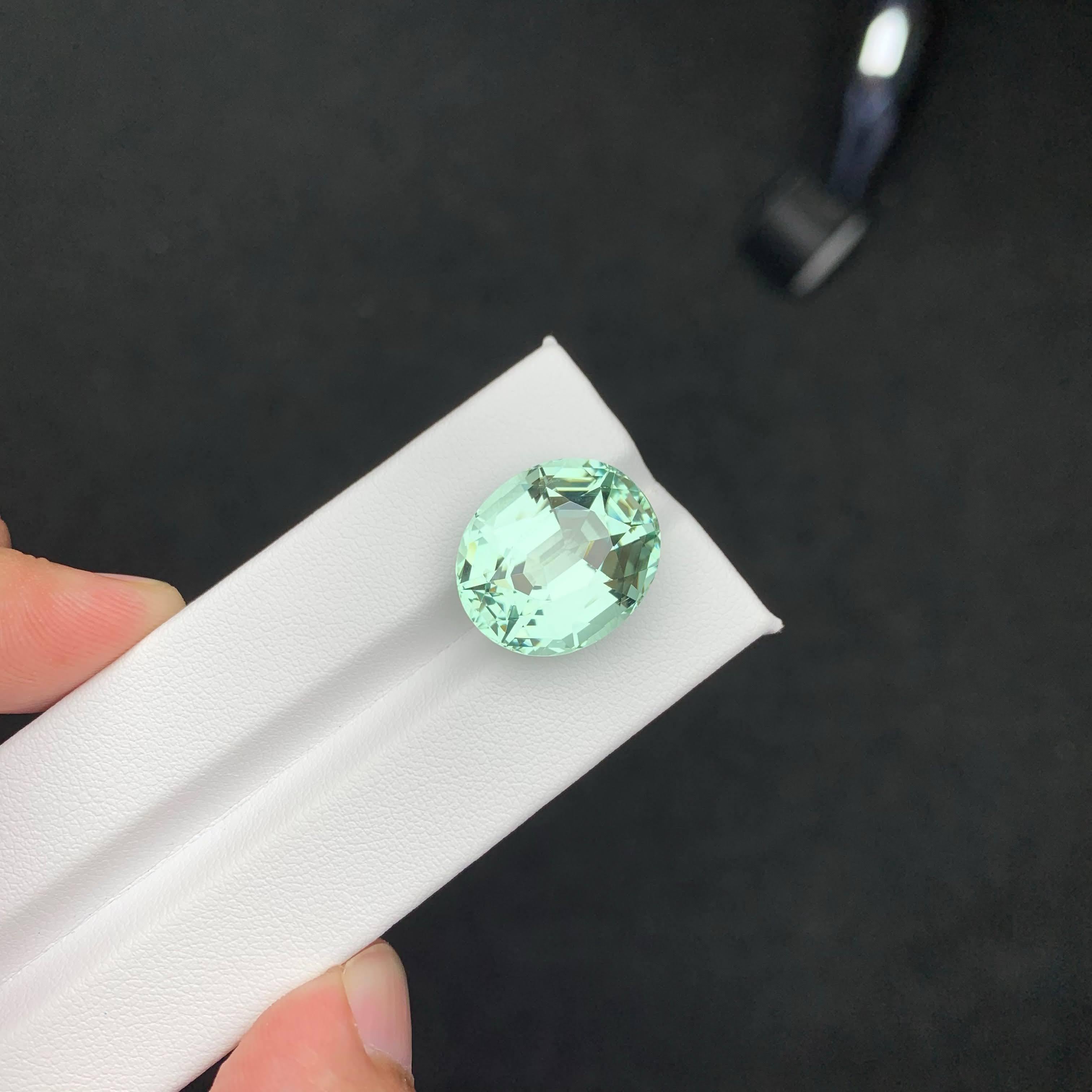 21.35 Carat Loose Mint Green Tourmaline Oval – Rare Gem for Collectors & Custom For Sale 3