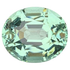 21.35 Carat Loose Mint Green Tourmaline Oval – Rare Gem for Collectors & Custom